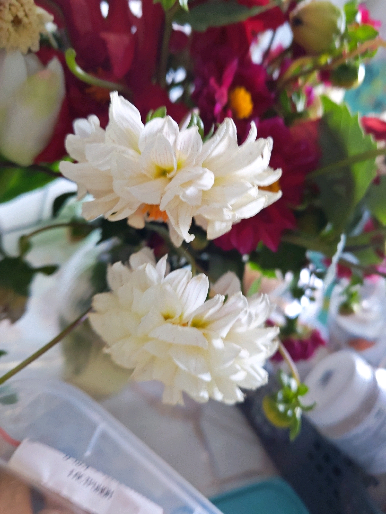 The image shows a close-up of a bouquet of flowers, predominantly white dahlias and deep red dahlias, with some green foliage. The flowers are vibrant and detailed, with delicate petals and a soft focus. The background is blurred, suggesting an indoor setting with other objects present, such as containers and bottles. The lighting appears natural and soft, casting a gentle glow on the flowers. There is no indication of the location in the city of Chaikovsky, Russia, or any specific activity taking place.