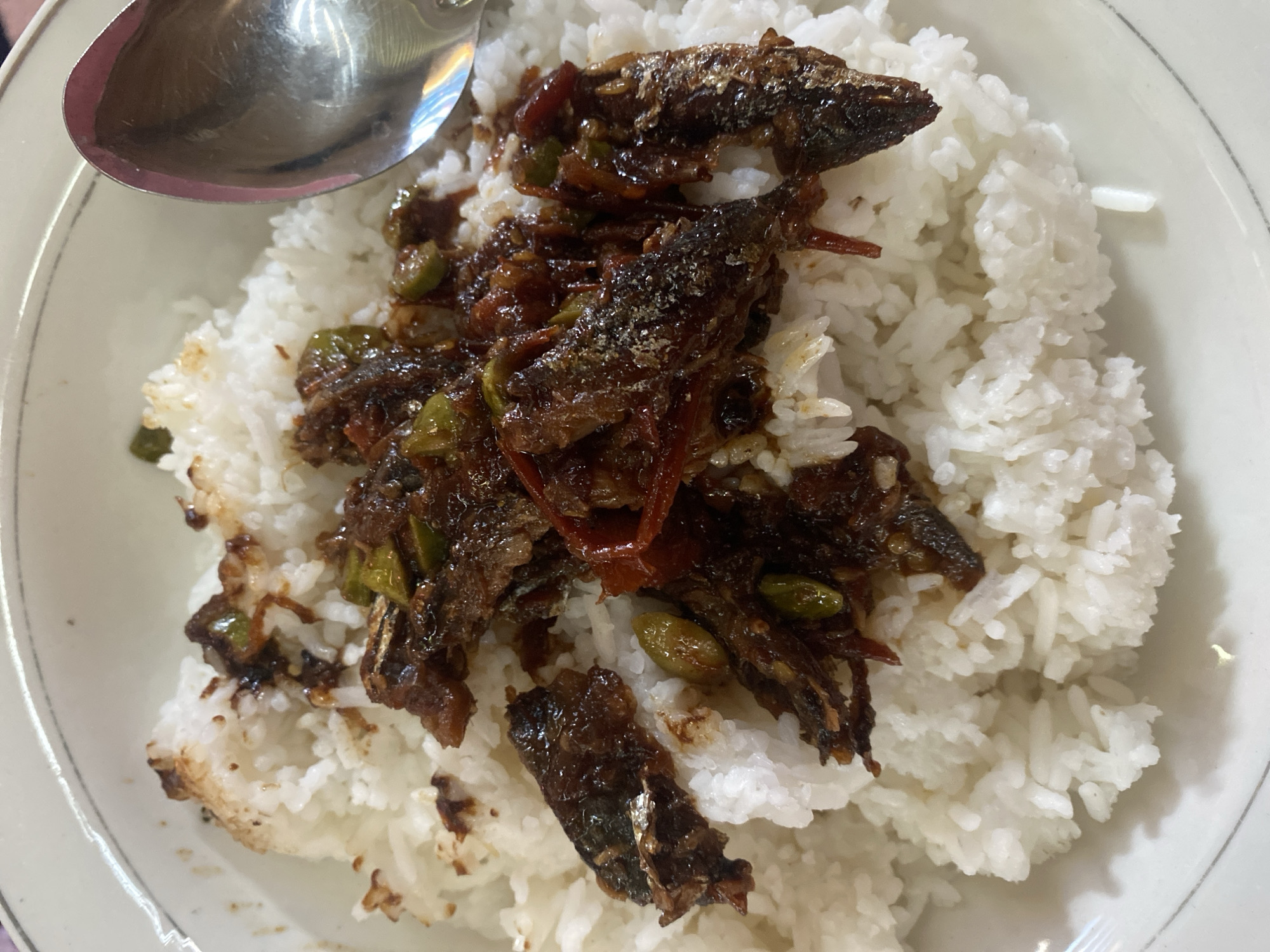 A close-up shot shows a bowl of white rice topped with small fish in a dark, glossy sauce, accompanied by green beans and red chili slices. A silver spoon rests on the right side of the bowl, partially obscuring the rice and topping. The bowl has a white rim with a thin gray line. The scene is likely indoors, in a home setting in Malinau Kota, Indonesia, judging by the common serving style and ingredients.