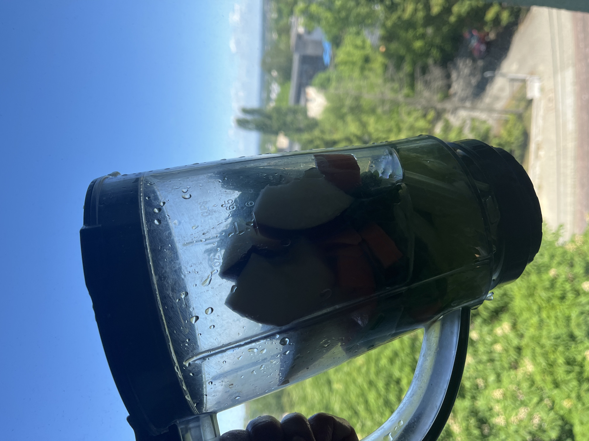 The image shows a blender filled with pieces of white and orange fruits and green leafy vegetables. The blender is held in front of a window. Outside the window, the environment transitions from clear blue sky to a horizon with blurred natural landscapes. A few buildings are visible. The location appears to be in a city. A hand is holding the blender from the bottom. The surface of the blender has water droplets on it.