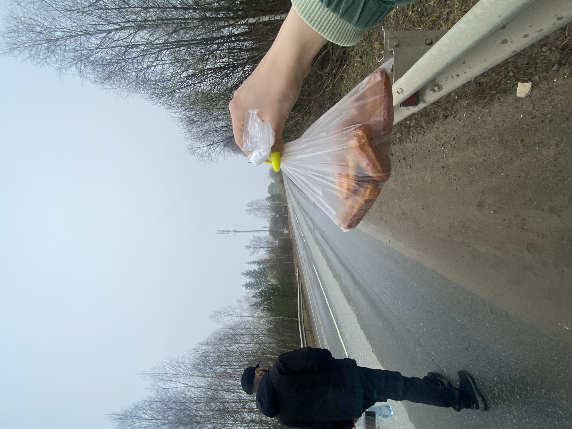 The image depicts a roadside scene in Zhigalki, Russia. An adult stands on the shoulder of a wet asphalt road, wearing a black jacket, black pants, and black shoes. A hand in the upper right corner holds a clear plastic bag containing what appears to be food. The bag is secured with a yellow clip. A guardrail runs along the roadside. Bare trees line the background under an overcast sky. A cell tower can be seen in the distance.