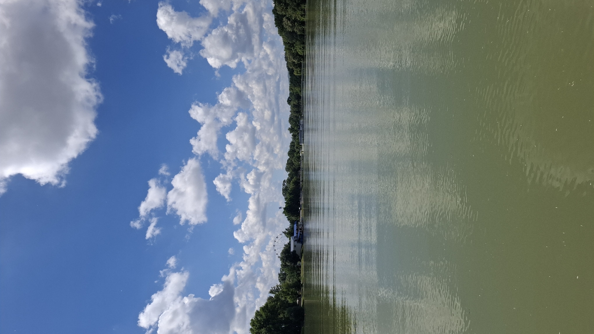 The image shows a wide, calm body of water reflecting the blue sky and white, fluffy clouds. On the far bank, a line of lush green trees forms the horizon. In the distance, a Ferris wheel is visible, along with several buildings and structures. The water itself appears calm, with subtle ripples on its surface. The scene suggests a tranquil day by the water, possibly a lake or a wide river.
