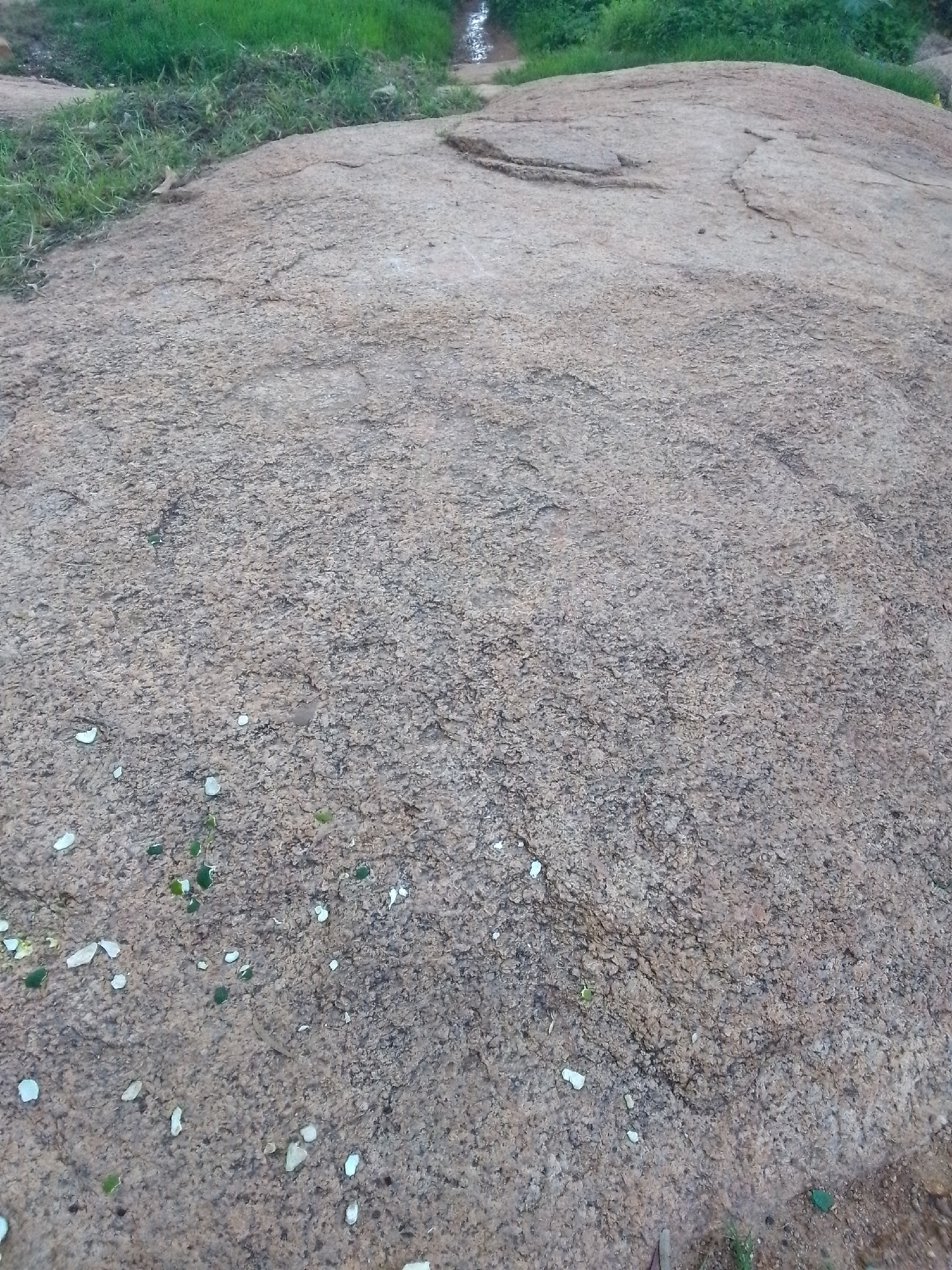 The image depicts a weathered, sandy-colored rock formation with patches of green grass visible in the background. Scattered across the rock surface are small, irregular fragments of what appear to be broken glass, some of which are green or white. The rock itself shows signs of erosion, with subtle textures and slight indentations. The environment suggests an outdoor setting, possibly a natural landscape within or on the outskirts of Jos, Nigeria, where such rock formations are common. There are no people or discernible actions taking place in the scene.