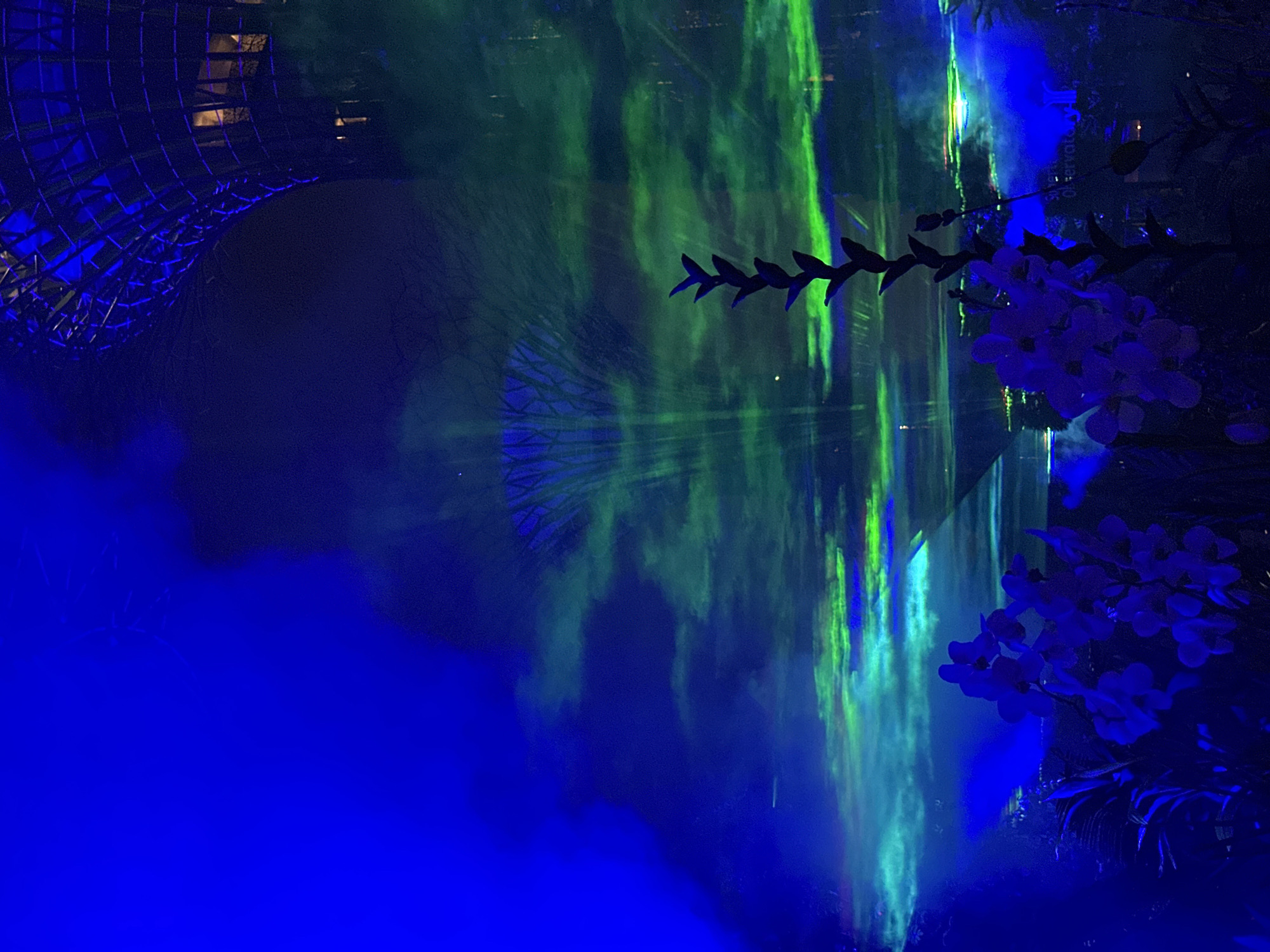 The image captures a night scene at Gardens by the Bay in Singapore. The foreground features illuminated purple orchids and dark foliage, bathed in blue light. In the background, a large, dome-like structure with a metallic grid pattern is visible, also lit with blue. The middle ground and sky are filled with dynamic green and blue light projections, creating a cloudy, aurora-like effect. The overall atmosphere is surreal and theatrical, suggesting a light show or special exhibition within the conservatories. A faint sign with text including "ervation" is discernible on the right side of the image. No people are visible in the frame.