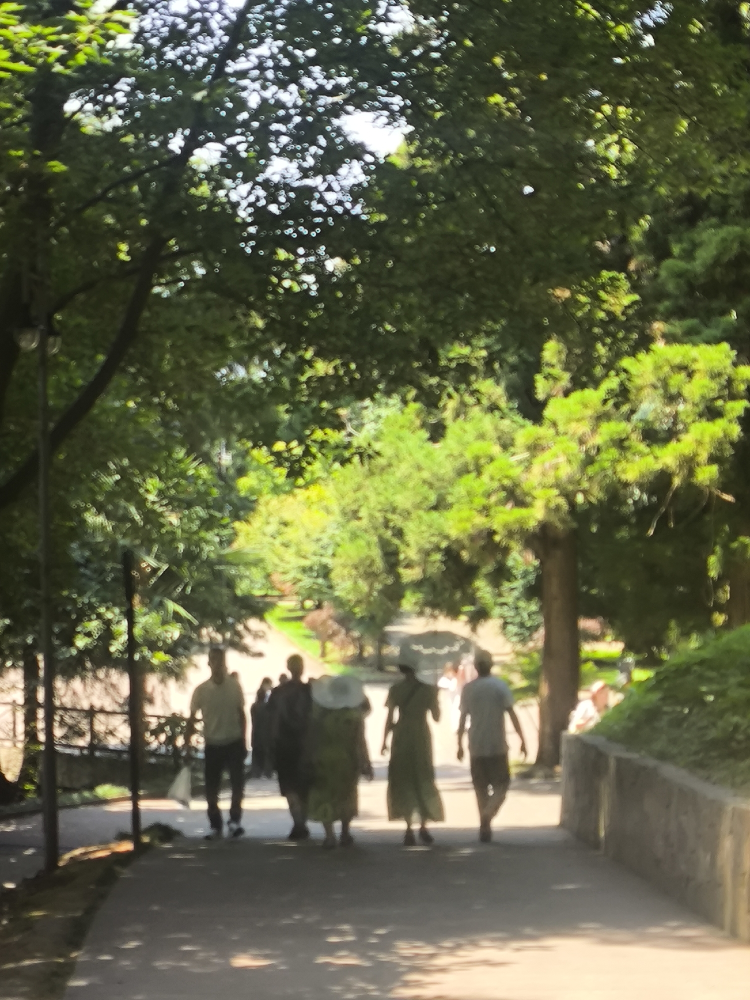 The image depicts a sun-dappled pathway in a park, likely within Batumi, Georgia, bordered by lush green trees and foliage. Several individuals are walking away from the camera down the path. In the foreground, a group of four figures is visible. The person closest to the camera on the left is a male wearing a light-colored t-shirt and dark pants, carrying a white plastic bag. Next to him are three figures; one appears to be wearing a long dress and possibly a hat, and the other two are less distinct silhouettes. Further down the path, another male figure in a light-colored t-shirt and dark shorts is walking. To the right of the path, a low stone wall is visible, with greenery growing over it. In the background, more trees and a curved pathway are discernible, suggesting a landscaped park environment. The lighting suggests it is daytime, possibly late morning or afternoon, with sunlight filtering through the dense tree canopy. The overall scene conveys a casual, leisurely atmosphere in a verdant outdoor setting.