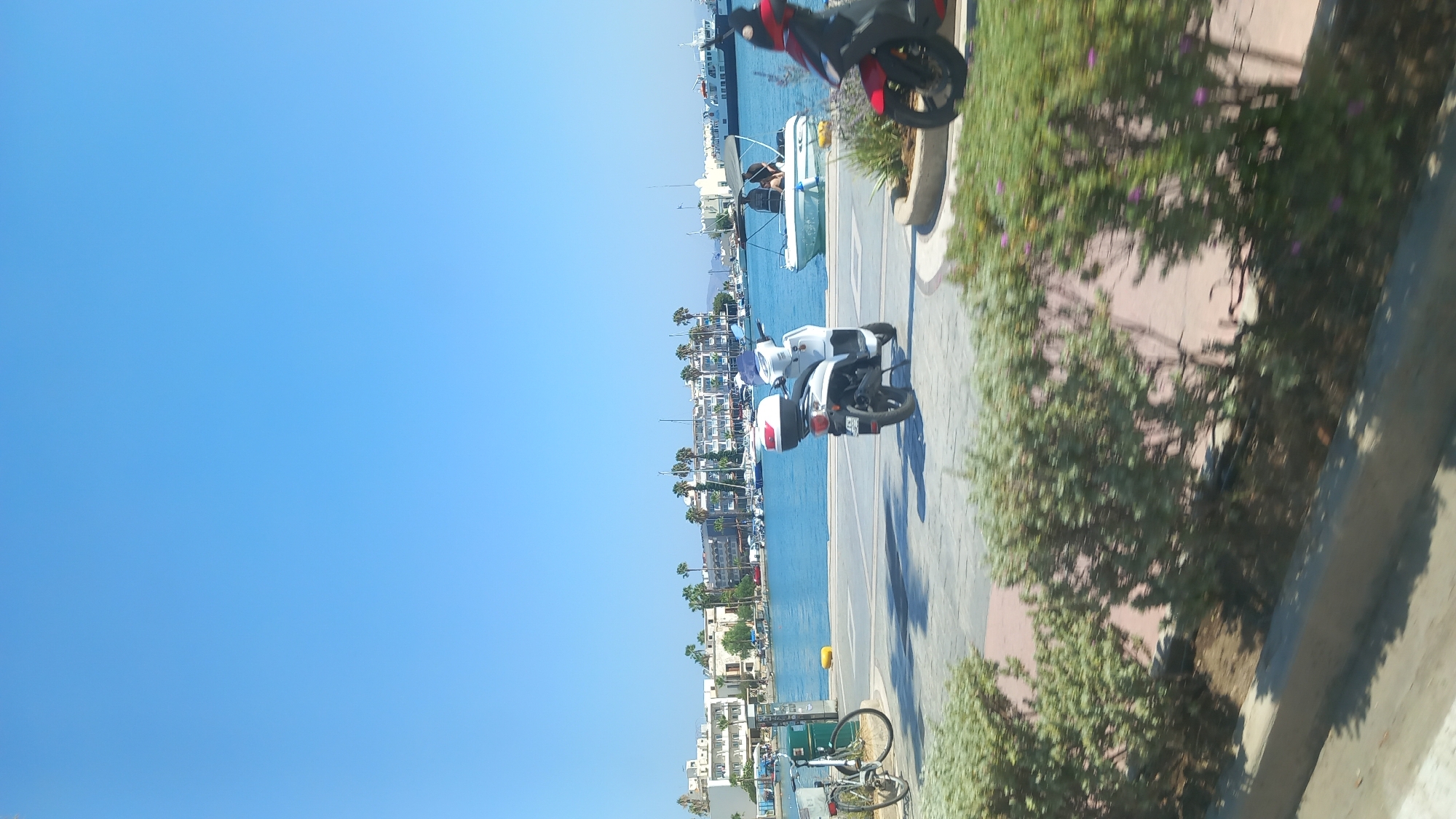A clear, sunny day is depicted in this image, which captures a view of a harbor in the city of Kos, Greece. The sky is a brilliant, cloudless blue. In the foreground, a paved walkway runs along the waterfront, bordered by lush green bushes with some small purple flowers.
Several vehicles are present on the walkway. To the left, a silver bicycle with a basket is parked. Further to the right, a white scooter with a red taillight and a white storage box on the back is parked, facing away from the camera. In the far right of the foreground, the front wheel and part of the body of a red scooter are visible.
The harbor itself is filled with various boats. Several sailboats are docked, with their masts reaching towards the sky. A white motorboat with two people inside is in the middle ground. In the background, larger vessels, possibly ferries, are moored further out in the water.
Along the waterfront, a line of buildings, characteristic of a Mediterranean town, stretches across the horizon. These buildings are white and light-colored, with multiple stories and balconies. Palm trees are interspersed among the buildings, adding to the tropical feel of the location. The water of the harbor is a vibrant blue, reflecting the clear sky. The overall scene conveys a sense of a peaceful, sunny day at a coastal town.