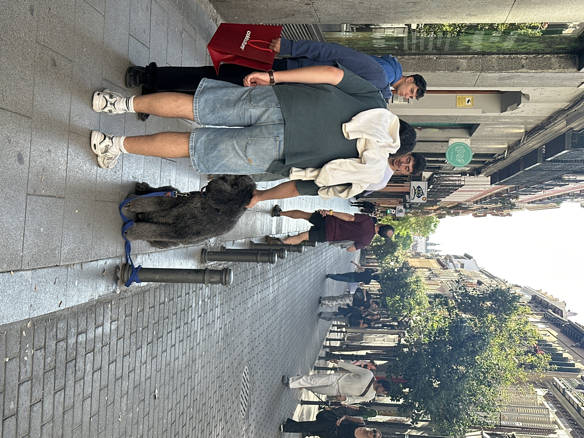 The image shows a street scene in Madrid, Spain. The street is paved with rectangular gray stones and lined with metal bollards. Buildings with multiple stories and balconies are visible along the street, with trees interspersed. Several people are walking along the sidewalk. One person is walking a gray poodle. Two young men are standing in the foreground. One is wearing denim shorts and a green t-shirt, and the other is wearing a blue hooded sweatshirt and carrying a red shopping bag.