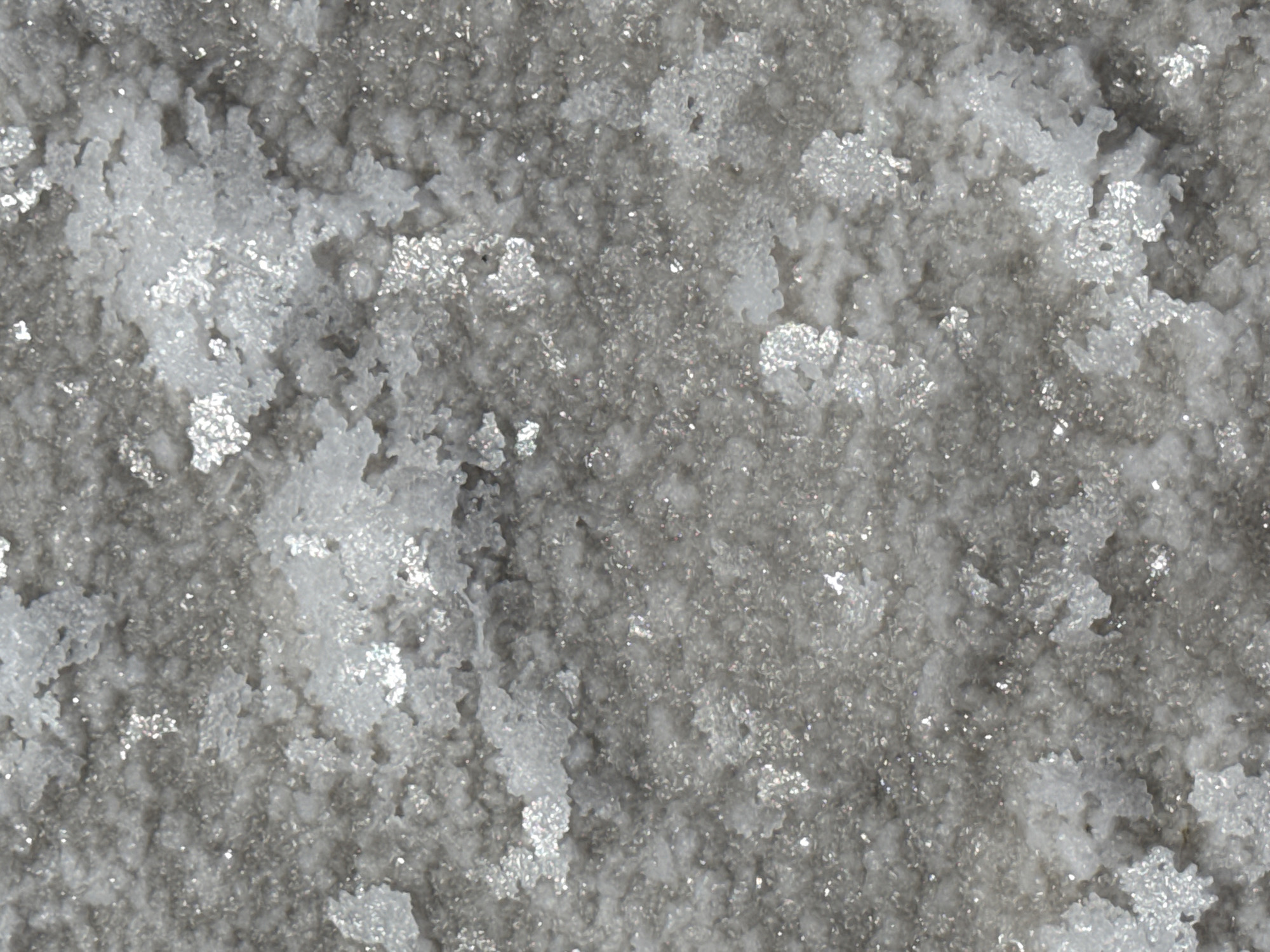 The image is a close-up, macro photograph of a rough, granular, crystalline surface, predominantly gray with patches of white. The texture is uneven, with many small, irregular protrusions and indentations. Scattered throughout the surface are numerous small, reflective specks that sparkle, suggesting a mineral composition or the presence of fine particulate matter. Some larger, clumped formations of white material are visible, appearing somewhat translucent and having an almost frothy or foamy appearance in places. These white areas also exhibit a high degree of reflectivity, catching the light and creating bright highlights. The overall impression is of a dry, textured substance, possibly salt crystals, mineral deposits, or a similar geological formation. There are no people or discernible objects in the image, nor is there any indication of a specific location within the city of Bursol', Russia. The scene is abstract and focuses solely on the detailed texture of the surface.