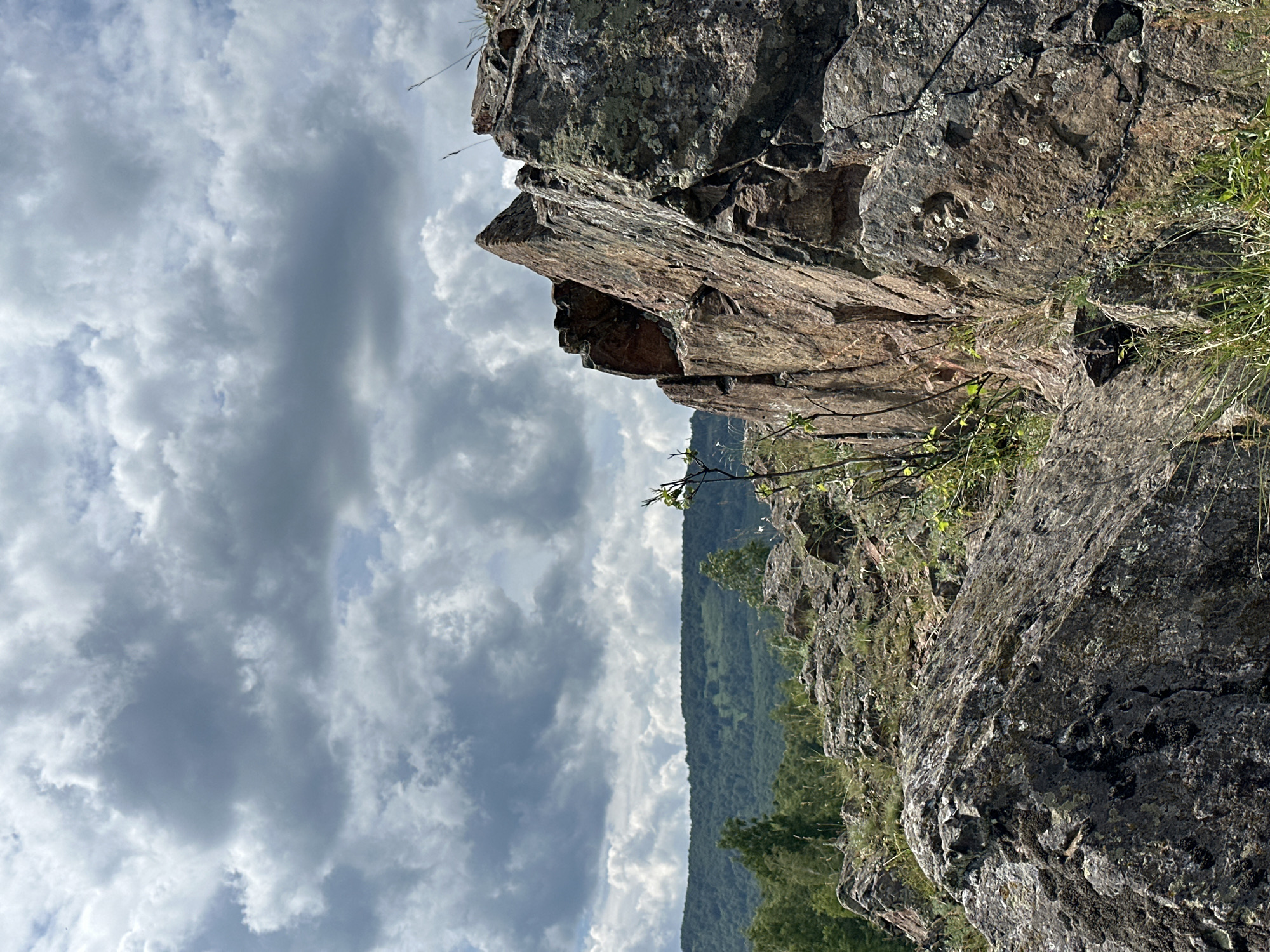 This is a medium shot, eye-level, vertical photograph of a rocky, mountainous landscape under a cloudy sky. In the foreground, there are large, rough-textured rocks covered in moss and lichen. A small, leafless branch with a few green leaves grows from the rocks in the middle ground. Behind the rocks, a lush, green forest stretches across rolling hills, with a darker, more dense forest in the distance. The sky is filled with dramatic, grey and white clouds, with patches of blue sky visible. The overall impression is one of wild, natural beauty.