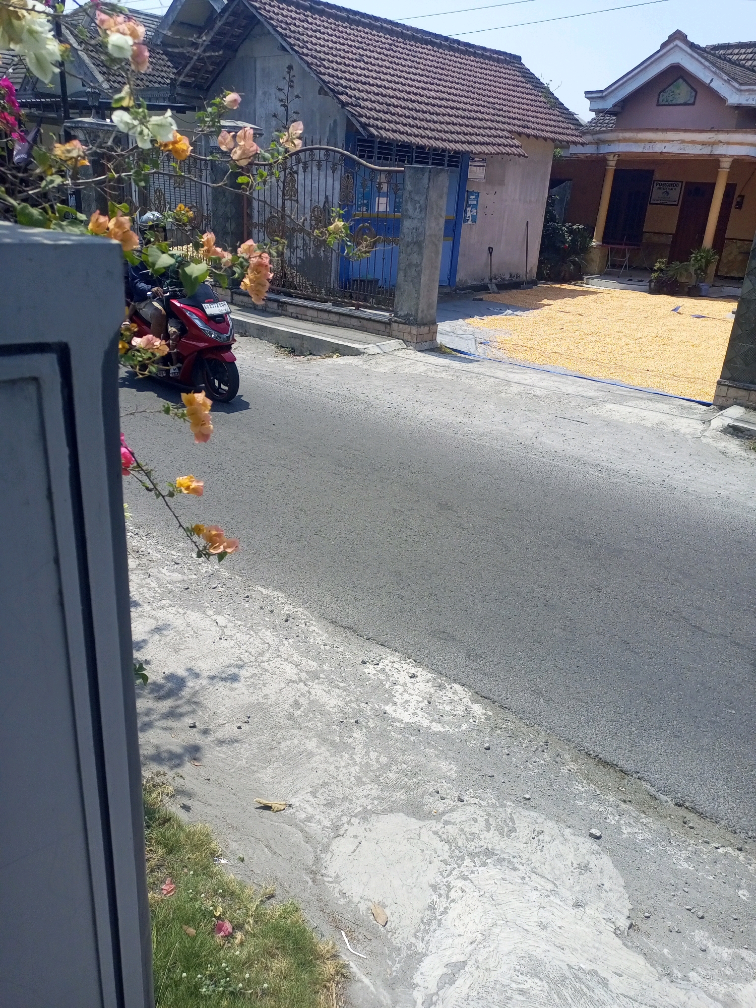 This image depicts a street scene in Ngasem, Indonesia. In the foreground, a red scooter is parked on the asphalt road. A person wearing a helmet and a dark jacket is seated on the scooter. To the left of the scooter, a fence separates the road from a residential area. Behind the fence, a house with a tiled roof and a blue door is visible. In the background, another house with a similar roof is seen, with a large area of dried corn kernels spread out in front of it. The sky is clear and blue. The overall environment appears to be a rural or semi-rural area.