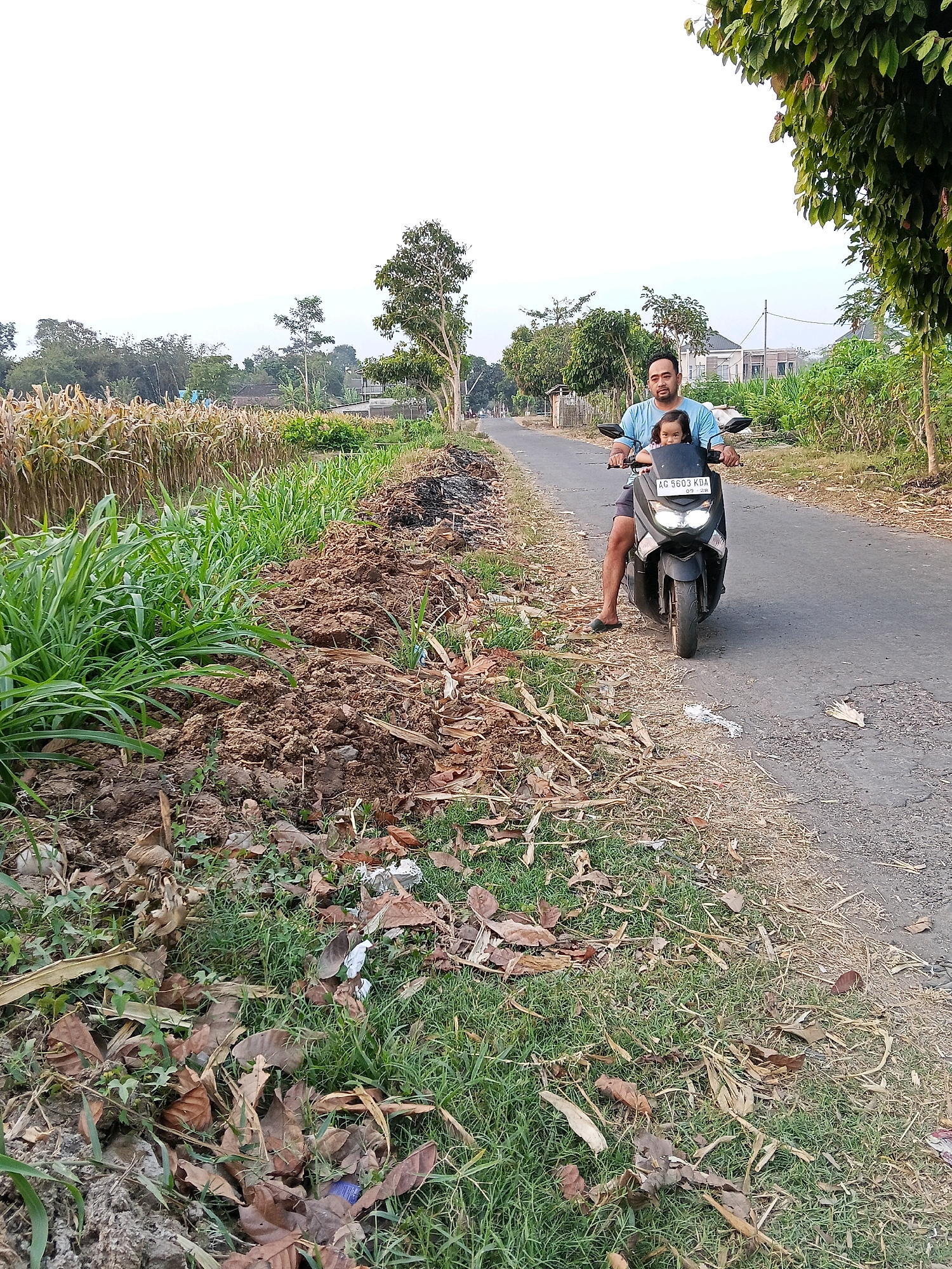 A man and a young child are riding a black motorcycle on a paved road in a rural area, likely Gaprang, Indonesia. The man is driving, wearing a blue t-shirt and dark shorts, with a child seated in front of him. The child is wearing a pink shirt and black pants. The motorcycle has a license plate reading "AC 5603 KDA". The road is bordered by a field of dry corn stalks on the left and green grass and dirt on the right. Beyond the corn field, there are trees and houses. The sky is overcast. The scene suggests a casual journey through a village or agricultural landscape.