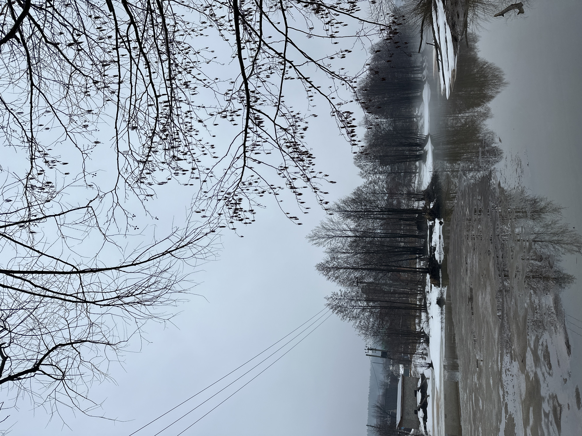The image captures a winter scene in Chaikovsky, Russia. The landscape is dominated by a gray, overcast sky, suggesting a day with limited sunlight. In the foreground, bare tree branches extend into the frame, their intricate silhouettes contrasting against the pale sky. Some branches retain small, dark fruits or seeds.
A body of water, likely a river or lake, stretches across the middle ground. Its surface appears partially frozen or covered in slush, reflecting the somber sky. The opposite bank is lined with a row of slender, leafless trees, their reflections mirrored in the water, albeit distorted by the ice and ripples. A coating of snow covers the ground and structures visible on the bank. A small building is visible near the shoreline. Electrical wires are strung in the open space between the foreground trees and the buildings on the shore. The air appears still and perhaps foggy, muting the distant features. The scene is quiet, with no visible people or animals. The overall impression is one of cold, muted colors, and stark, winter dormancy.