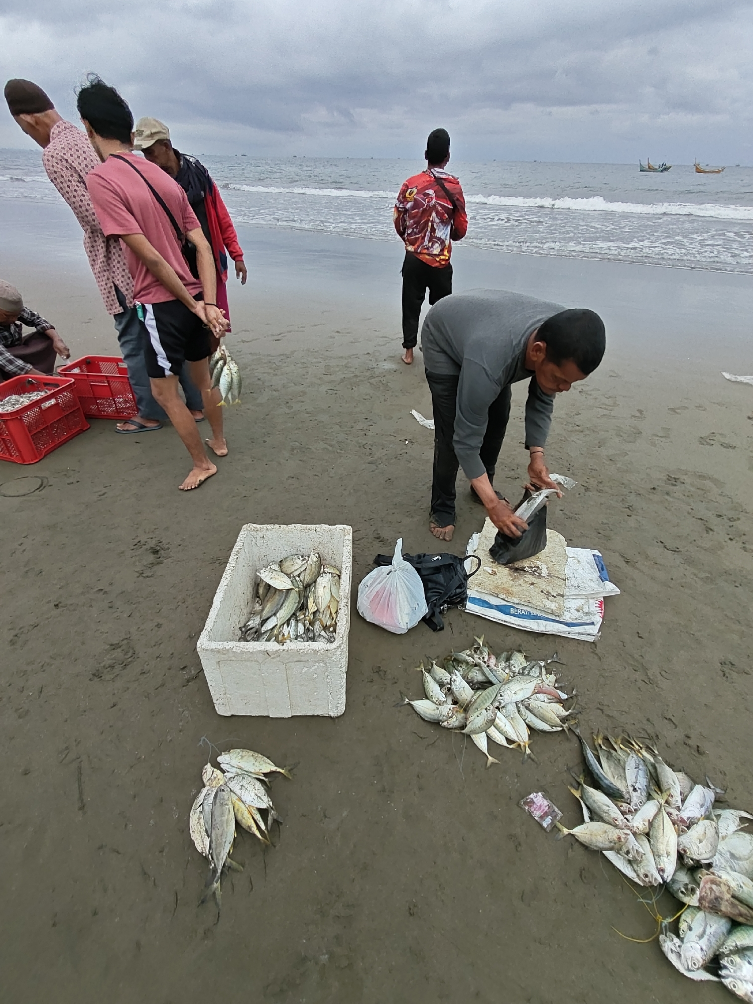 This is a medium-shot, eye-level photograph taken on a cloudy day at the beach in Curehtunong, Indonesia. In the foreground, a man wearing a grey long-sleeved shirt and black pants is hunched over, preparing fish on a wooden board. He is holding a knife and a black plastic bag, actively engaged in processing the catch. To his left, a white styrofoam box is filled with a large quantity of freshly caught fish. Piles of fish are also scattered on the wet sand in front of the man, some tied together with string. To the left of the frame, three other individuals are visible. One person, wearing a patterned long-sleeved shirt and a head covering, stands next to a red plastic crate filled with fish. Another person, in a pink short-sleeved shirt and black shorts with white stripes, stands nearby, holding a string of fish. Behind them, another person in a red jacket is also present. Further back, two more individuals are standing near the water's edge, facing the sea. The ocean stretches out to the horizon under a gray, overcast sky, with a few small boats visible in the distance. The sandy beach is wet and shows footprints. The overall scene depicts a fishing activity, likely the unloading and preparation of a fresh catch from the sea.