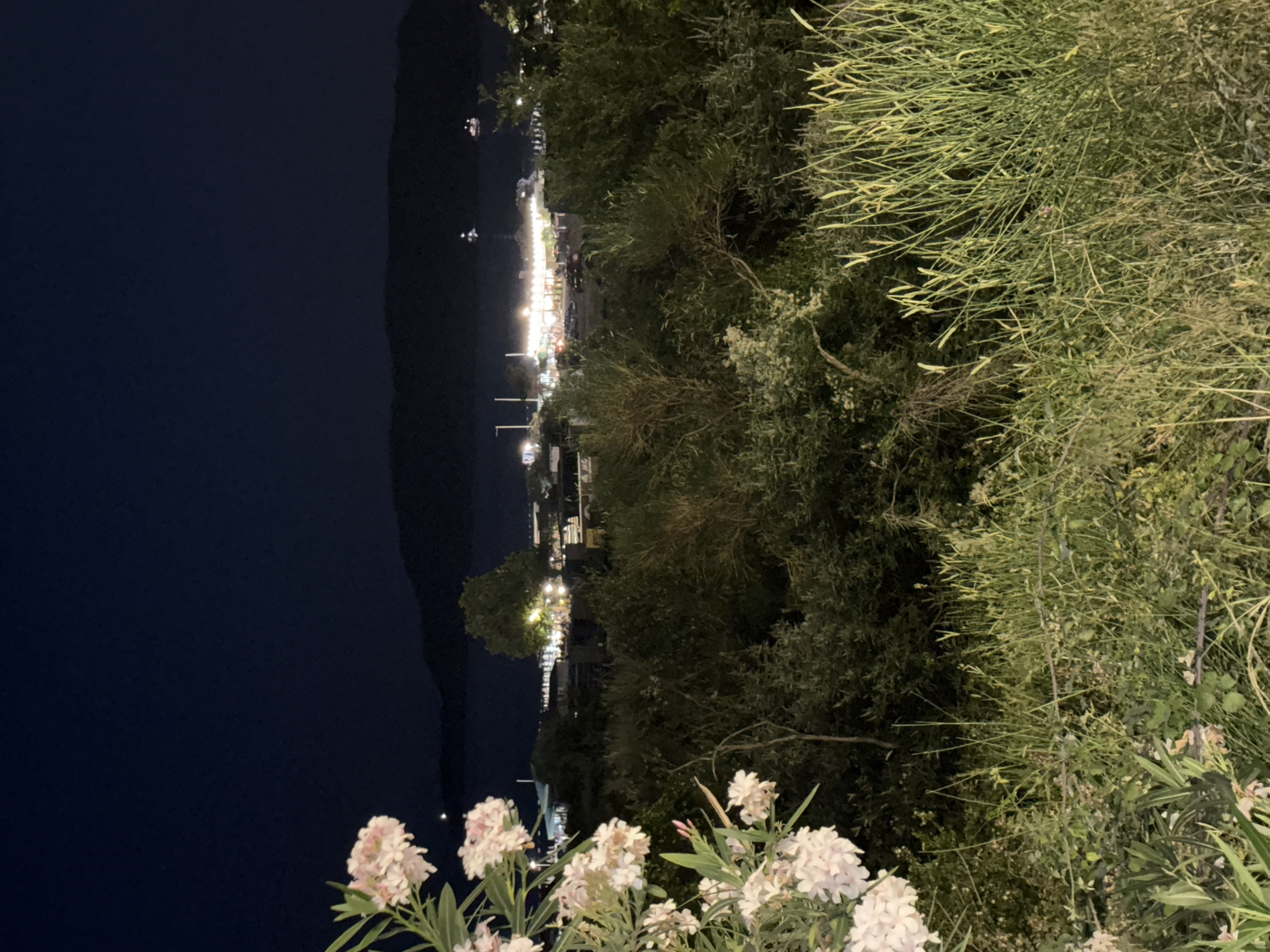 This image depicts a nighttime scene in the city of Boreti, Montenegro. In the foreground, to the left, is a cluster of light pink flowers with green leaves. The middle ground is dominated by dense, dark green foliage, with some areas of lighter green grass and thinner vegetation.
In the background, a body of water is visible, likely the sea, with a dark, mountainous silhouette of land beyond it. Along the shoreline, there is a settlement with numerous illuminated buildings, suggesting a vibrant town or resort area. A single, prominent tree stands out in the middle distance, illuminated from below, casting a warm glow. Several small boats or ships are visible on the water in the distance, their lights twinkling. The sky above is a deep, dark blue, indicating nighttime. There are no visible people in the image.