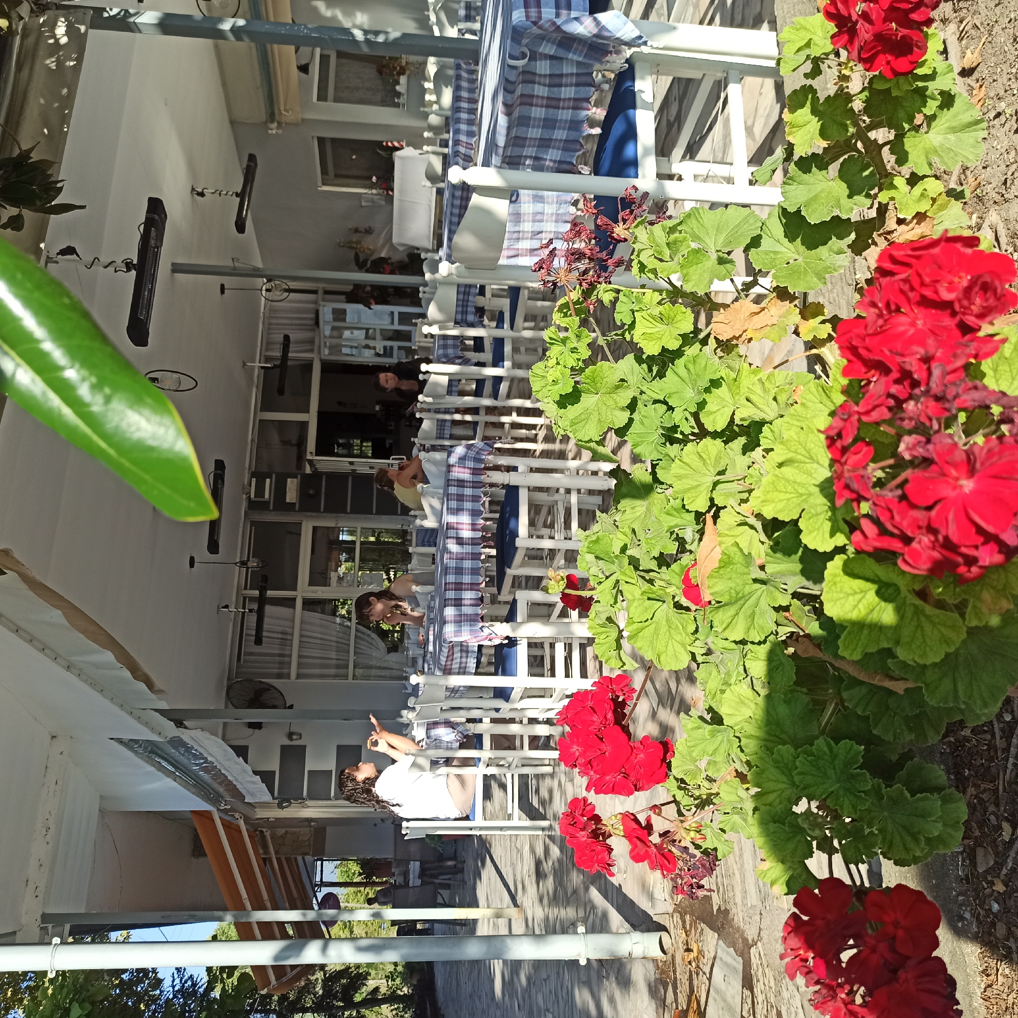 An outdoor seating area of a restaurant in Limani Litochorou, Greece is depicted. Several tables with blue and white checkered tablecloths and white chairs are visible, set up on a paved patio. Red geraniums in the foreground add a splash of color. In the background, people are seated at the tables, some appearing to be eating or talking. The restaurant has an awning providing shade and is equipped with overhead heaters. Trees and foliage surround the area, and the sky is clear and bright.