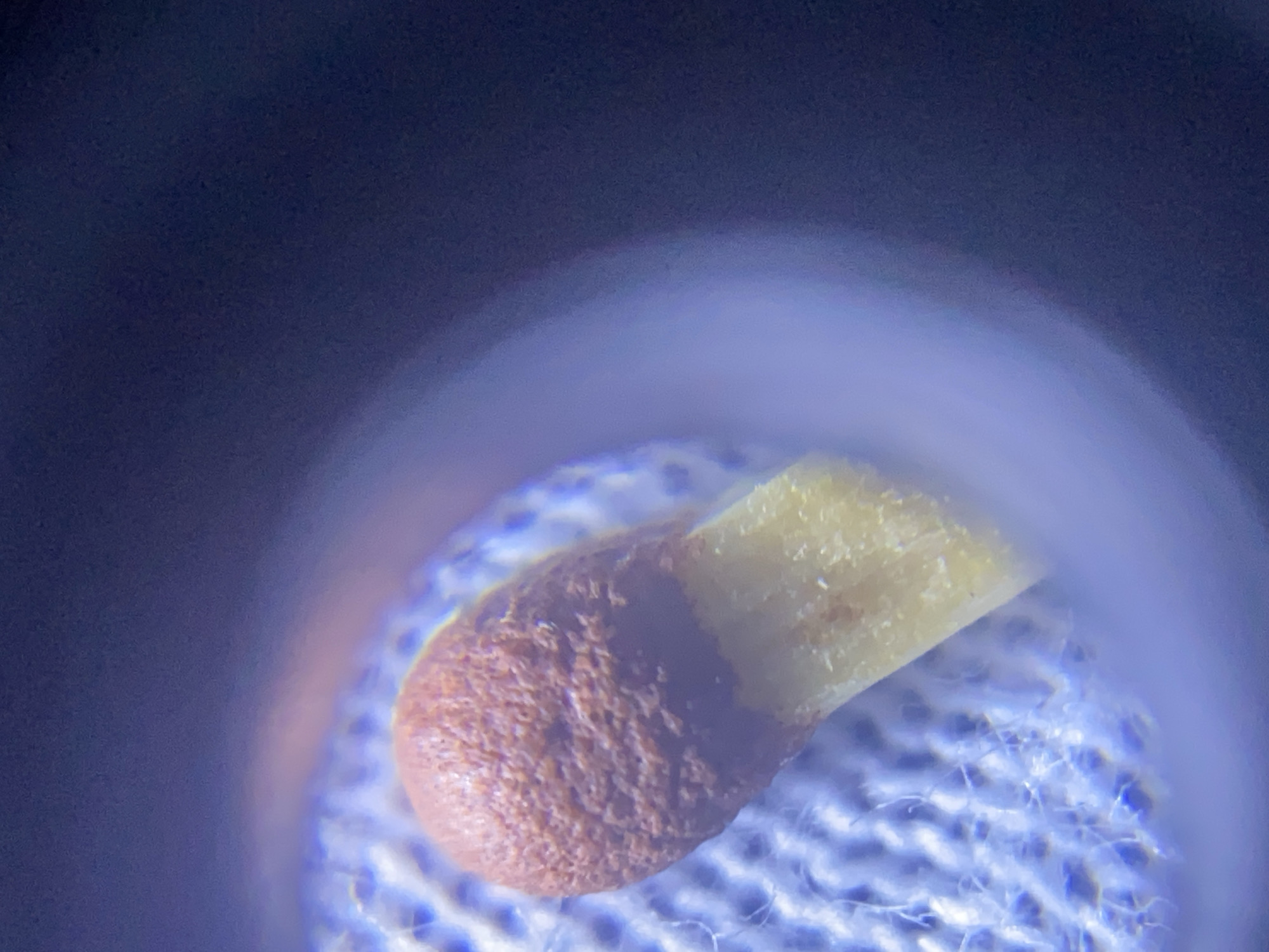 The image is a close-up, macro photograph of the head of a matchstick. The match head is a reddish-brown color with a textured surface, and it is attached to a yellow wooden shaft. The matchstick is resting on a white, woven material. The background is dark blue and out of focus, with a bright, blurred ring of light around the edges of the image, suggesting the use of a magnifying lens or a ring light. The scene is static and shows no people or actions. There is no indication of the location being within the city of Zgrade, Montenegro, or any city at all.