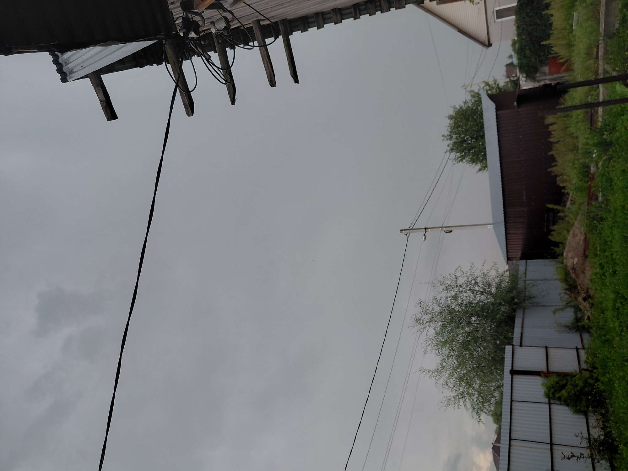 The image depicts an overcast sky with some clouds. In the foreground, there is a gray corrugated metal fence. Behind the fence, there is a large, leafy green tree. To the right of the tree, a dark brown metal shed with a gray roof is visible. Further to the right, a portion of a house with a white exterior and a peaked roof can be seen. There are several power lines running across the sky, supported by wooden poles. Some of these poles are attached to a wooden structure with a corrugated metal roof, which appears to be part of a building. The overall scene suggests a rural or suburban setting, possibly a backyard or a dacha (summer house) area, given the presence of fences, sheds, and power lines. The image appears to be taken in Novosibirsk, Russia, based on its typical residential architecture and vegetation. There are no people or animals visible in the frame.