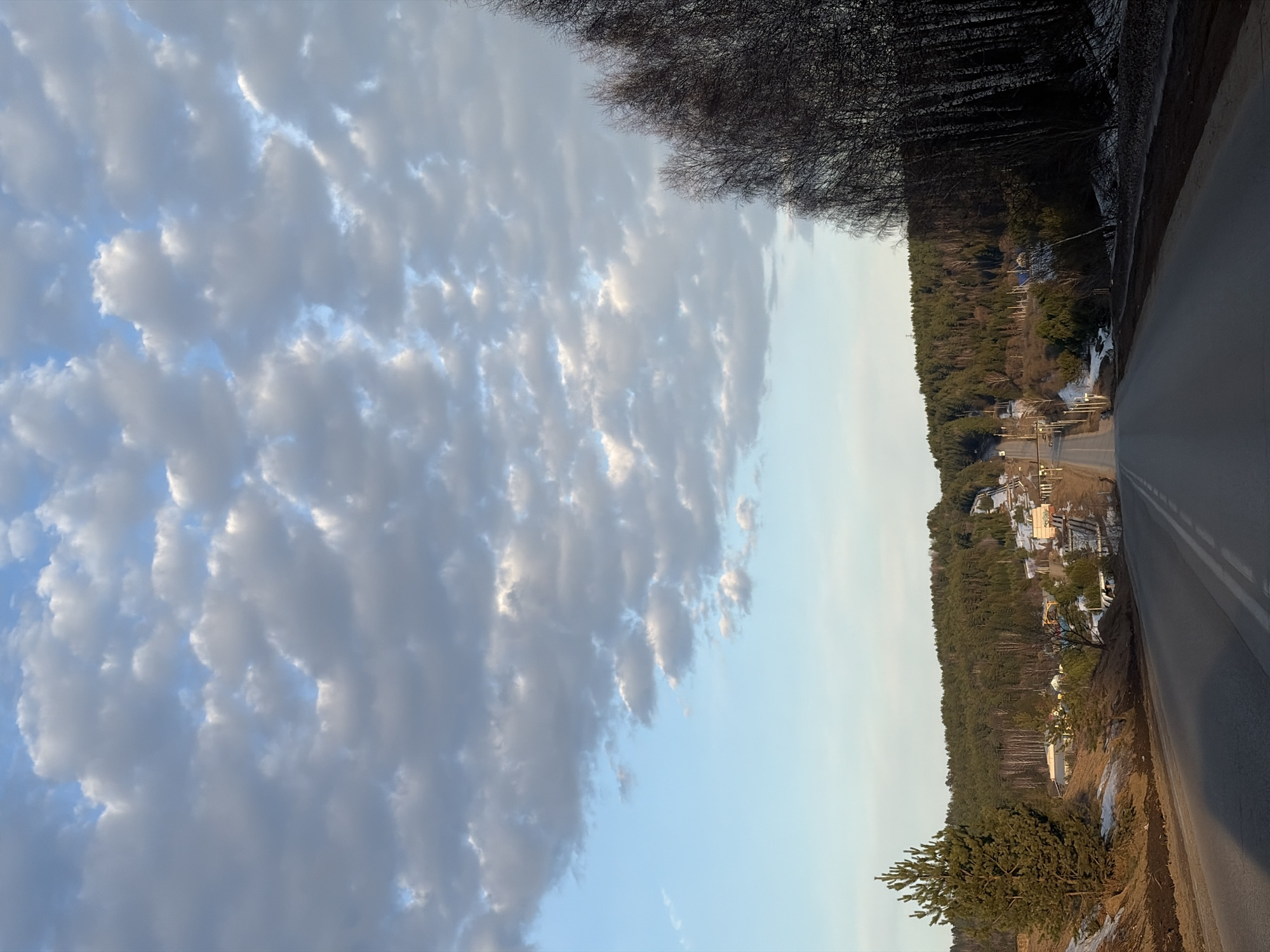 The image captures a rural landscape in Ольховка, Russia. On the right, a paved road stretches into the distance, marked with white lines. Adjacent to the road is a dense forest, interspersed with occasional houses and structures. Remnants of snow are visible near the road and within the forest. The left side of the image is dominated by a vast expanse of sky filled with textured, grey clouds. The sky transitions from a light blue near the horizon to a deeper blue further up. The sun is reflecting off the clouds, creating highlights. Bare branches of trees appear at the very top edge of the image.