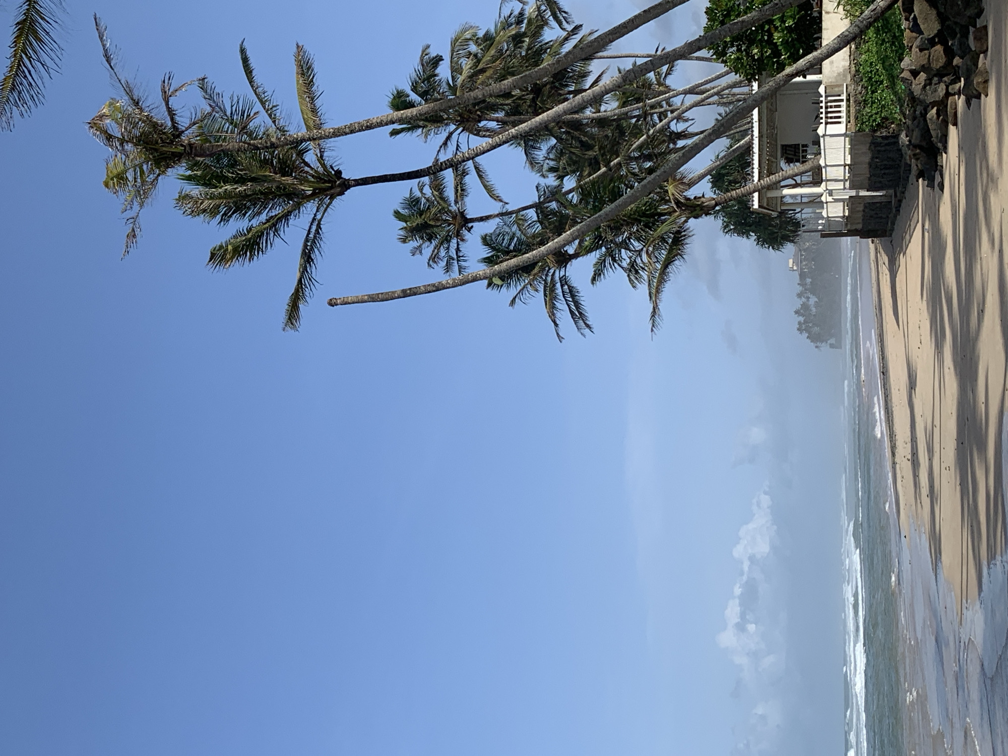 The scene depicts a tropical beachfront setting in an unknown city. Palm trees with fronds sway in the upper portion of the image, extending toward a clear blue sky. A building is situated near the shoreline with a white facade and a veranda. The beach is sandy and wet, with waves lapping at the shore. The presence of the ocean adds to the scene's coastal atmosphere. A rocky boundary is visible near the building.