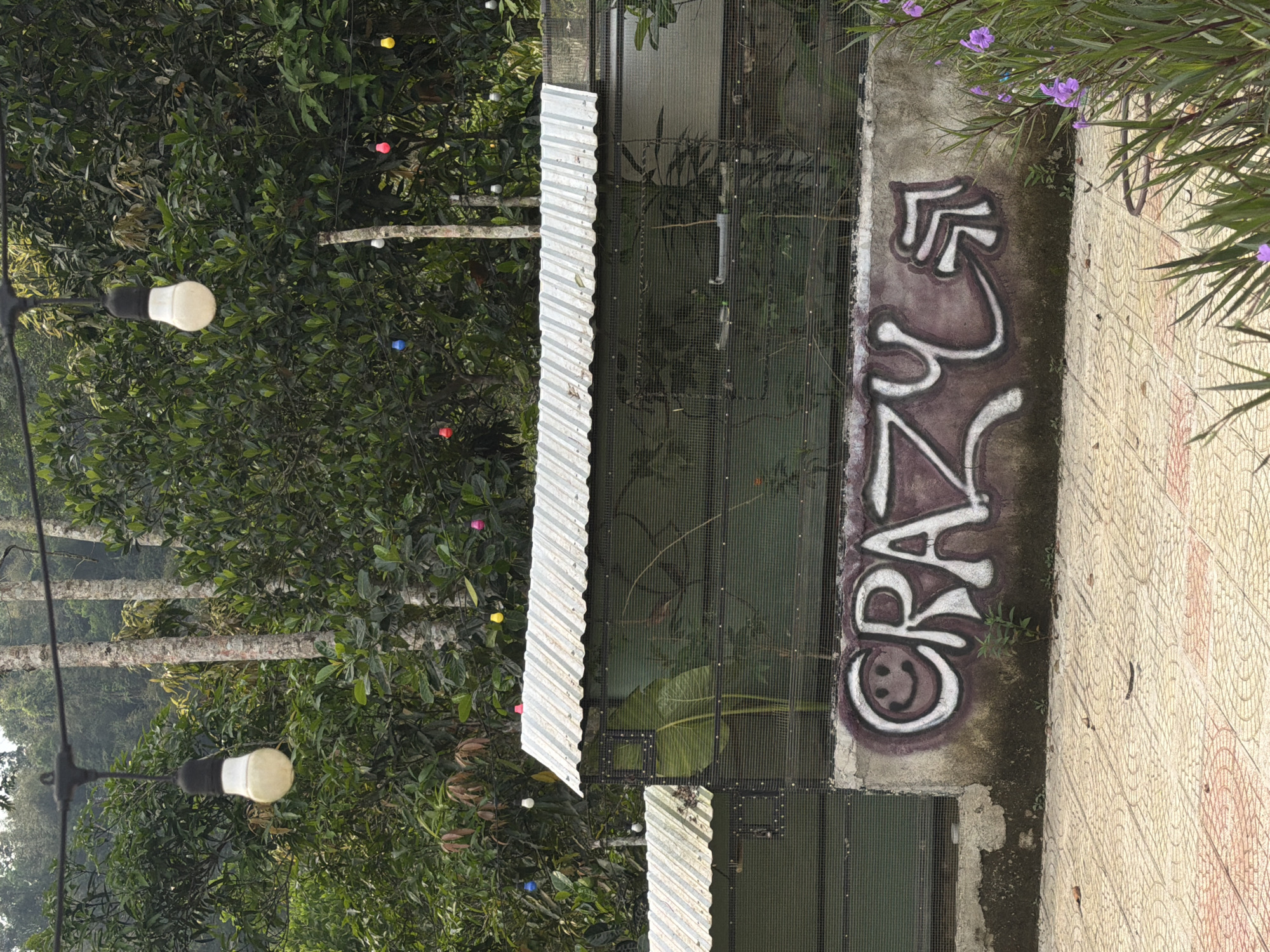 A vertical, eye-level shot depicts a wall in Đà Nẵng, Vietnam, tagged with graffiti reading "CRAZY" above a smiley face. The wall borders a tiled walkway and supports a green metal cage-like structure, possibly an aviary or enclosure, partially obscured by vegetation. Corrugated metal roofing covers a section of the structure. Overhead, string lights are visible amidst dense green foliage. The scene conveys an outdoor, slightly unkempt environment.