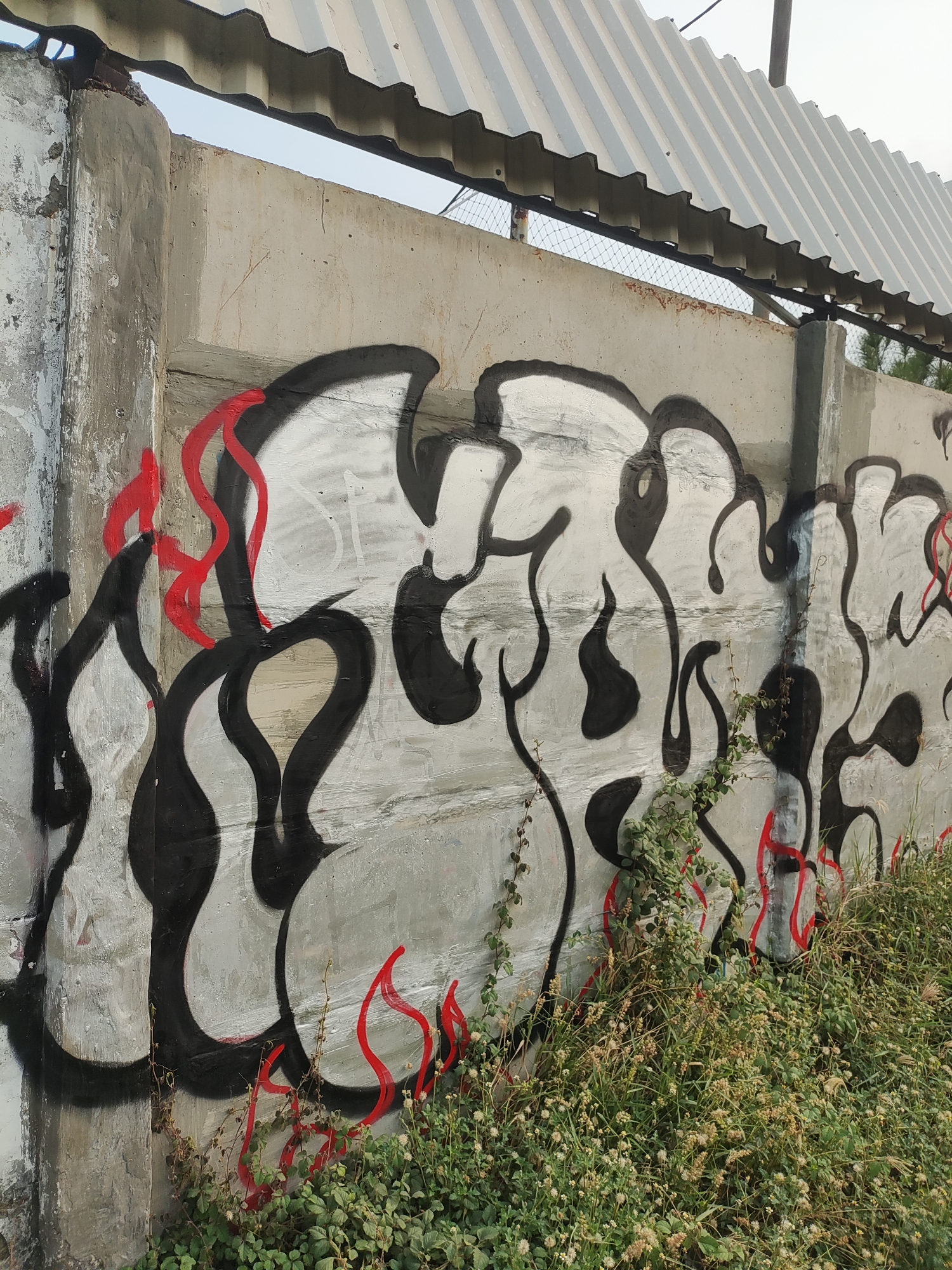 The image shows a section of a concrete wall in East Jakarta, Indonesia, covered in graffiti. The graffiti features large, black, bubble-style lettering with white fill and red accents that resemble flames or wavy lines. The concrete wall appears aged and weathered, with some signs of wear and tear. Lush green vegetation, including grass and small flowering plants, grows at the base of the wall, partially obscuring the lower portion of the graffiti. Above the wall, a corrugated metal roof structure is visible, extending diagonally across the upper part of the frame. The sky is overcast and a metal fence can be seen behind the wall. There are no people visible in the image.