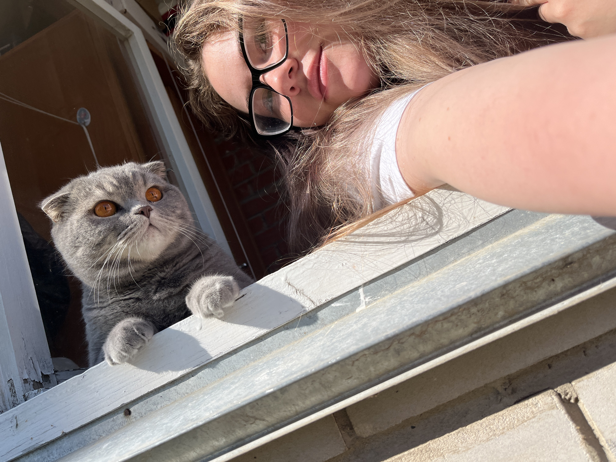A woman with glasses is taking a selfie with a gray Scottish Fold cat at a window. The woman has long blonde hair and is wearing a white t-shirt. The cat has amber eyes and is looking upwards with its paws on the windowsill. The window frame is white and shows signs of wear. Outside the window, parts of a brick building are visible. The location is Chaikovsky, Russia.