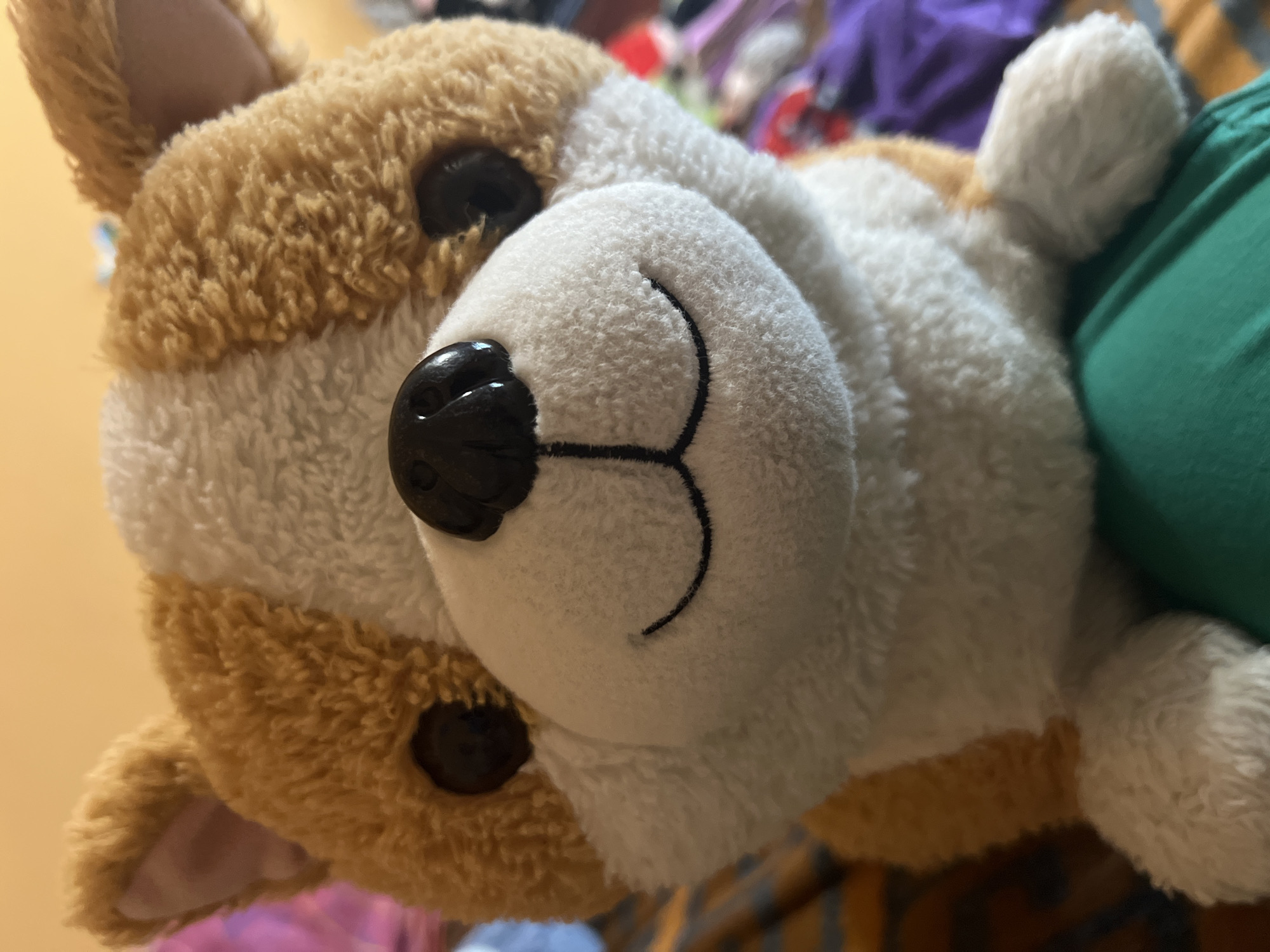 A close-up, frontal shot of a stuffed corgi dog is presented. The dog is predominantly brown and white with black button eyes and a black plastic nose. Its mouth is a simple black stitch forming a smile. The dog is held by something green, possibly clothing, and appears to be resting on a colorful, patterned surface. The background is blurred, showing hints of various colors and textures, suggesting an indoor setting. No specific landmarks or details indicative of Minsk, Belarus, are visible in the image.