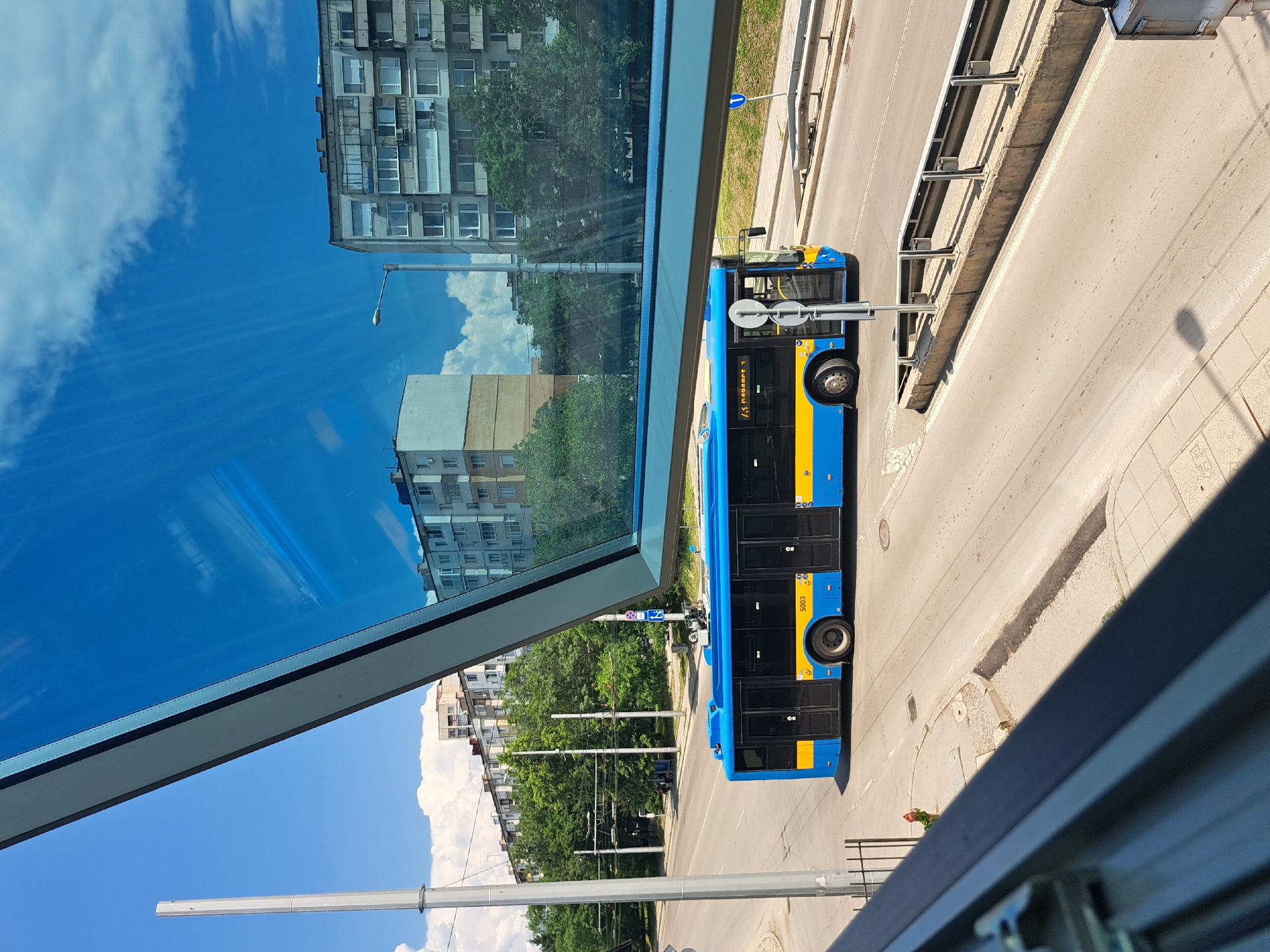 A bright blue and yellow articulated trolleybus with the number 5003 visible on its side travels on a paved road in an urban environment. The trolleybus is in motion, and its wheels are visible. The surrounding environment includes apartment buildings, trees, and overhead power lines for the trolleybus. A tall, gray pole stands on the left side of the image, and a traffic sign is visible on the right. The sky is blue with scattered white clouds, and the sun is casting shadows. The image appears to be taken from an elevated position, possibly through a window, as a reflective blue surface with a dark frame occupies the foreground.