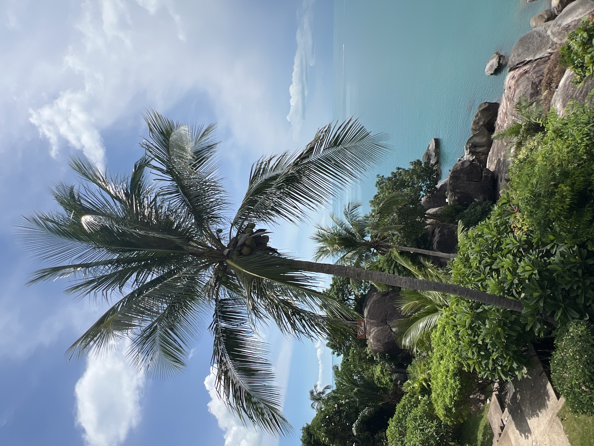A tall palm tree with coconuts is silhouetted against a bright blue sky with scattered white clouds, its fronds reaching towards the upper right of the frame. The tree is in the foreground of a lush, tropical landscape with green foliage and large, gray rocks. Below the palm tree, a sign on a large rock reads "Chai." The scene overlooks a tranquil, turquoise ocean with a faint white boat trail visible in the distance. The location is Baan Chaweng Noi, Thailand.