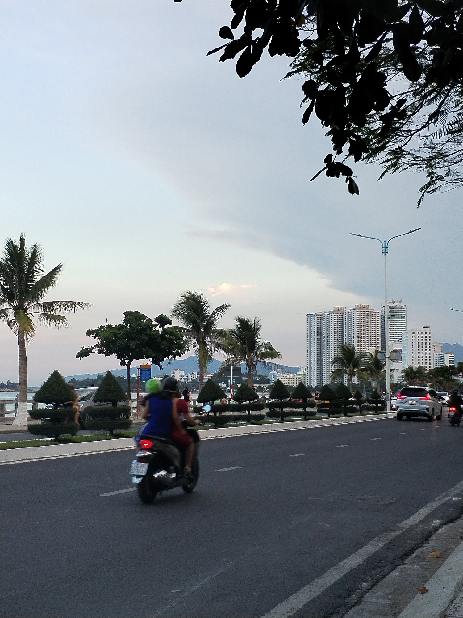 The image depicts a street scene in Bac Nha Trang Ward, Vietnam. A motorbike with two people is traveling on the road. A silver SUV is in the lane to the right of the motorbike. The road is lined with manicured bushes and palm trees. In the background are high-rise buildings, potentially hotels or apartments. A light post is visible near the buildings. The sky is overcast with a hint of light. Tree branches are in the upper right corner of the frame.