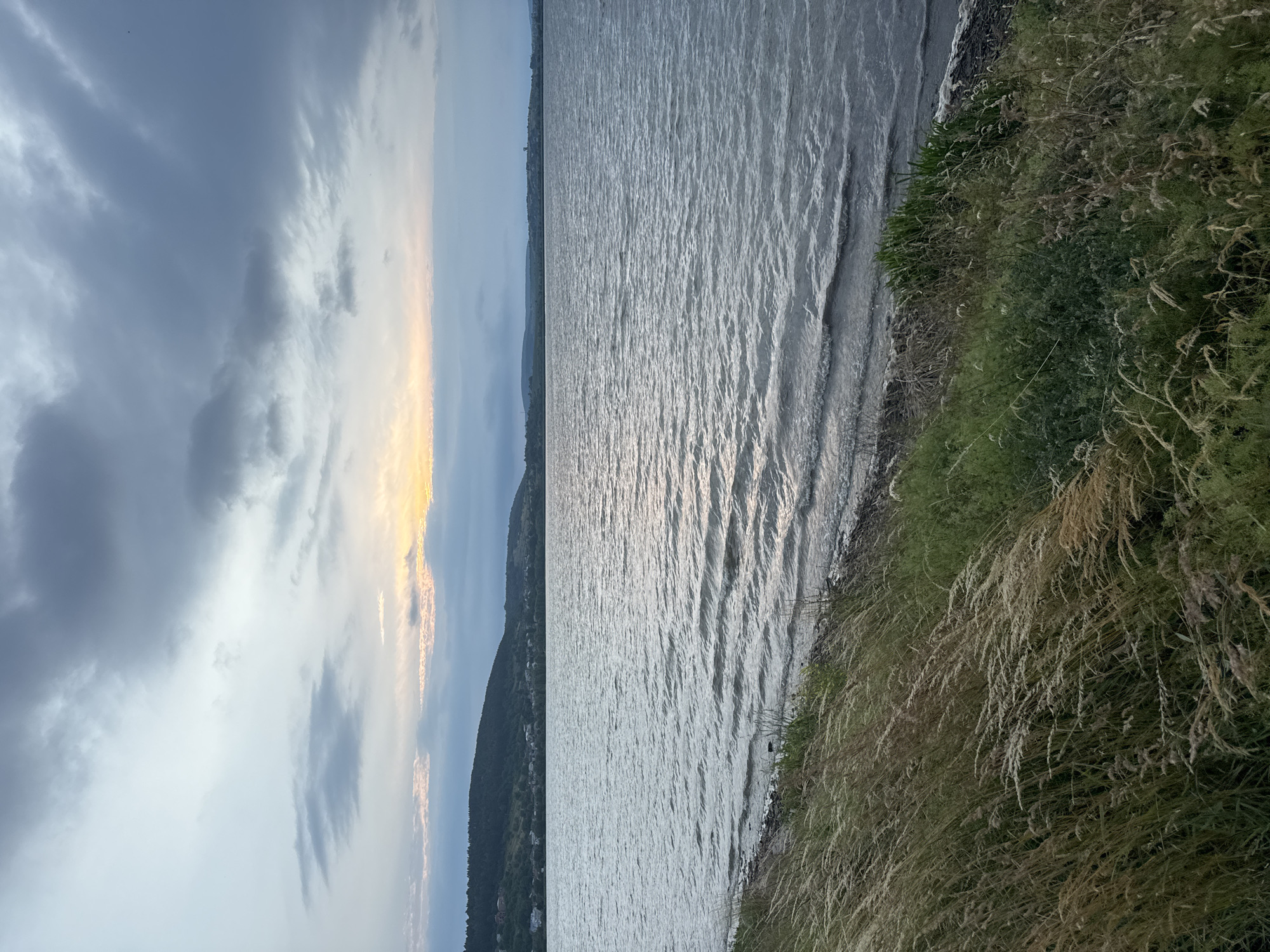 This image depicts a scenic landscape with a body of water stretching into the distance. The water is calm with gentle ripples, reflecting the overcast sky. To the left of the water, a hazy shoreline is visible, with a forested hillside dotted with houses and some buildings. The sky is filled with dramatic clouds, with a band of soft yellow and orange light peeking through, suggesting either sunrise or sunset. The foreground is dominated by a dense growth of tall, dry grasses and reeds, adding texture and a natural element to the scene. The overall atmosphere is tranquil and slightly moody, characteristic of twilight or a cloudy day. The location is identified as Berezhany, Ukraine. There is no visible text in the image.