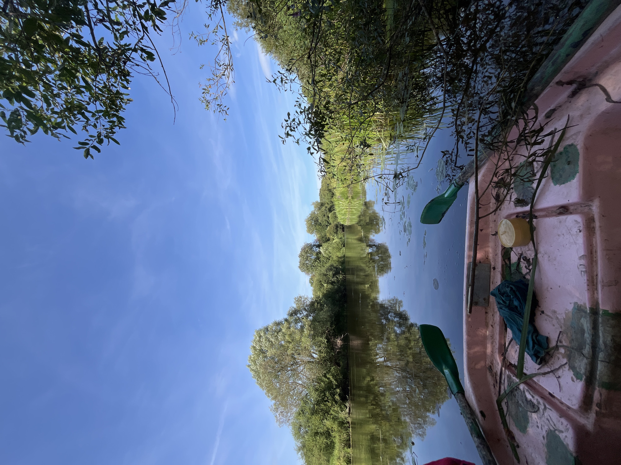 This image depicts a serene river scene from the perspective of a pink rowboat. Two green oars are visible, one resting across the boat's edge and another partially submerged in the water. Inside the boat, there is a crumpled blue cloth and a small yellow container. The tranquil water reflects the lush greenery and trees lining the riverbank, with a clear blue sky overhead dotted with wispy clouds. The environment suggests a natural, possibly rural, setting. While the image is evocative of a peaceful day on the water, there is no explicit information to pinpoint its location within the city of Sharkawshchyna, Belarus.