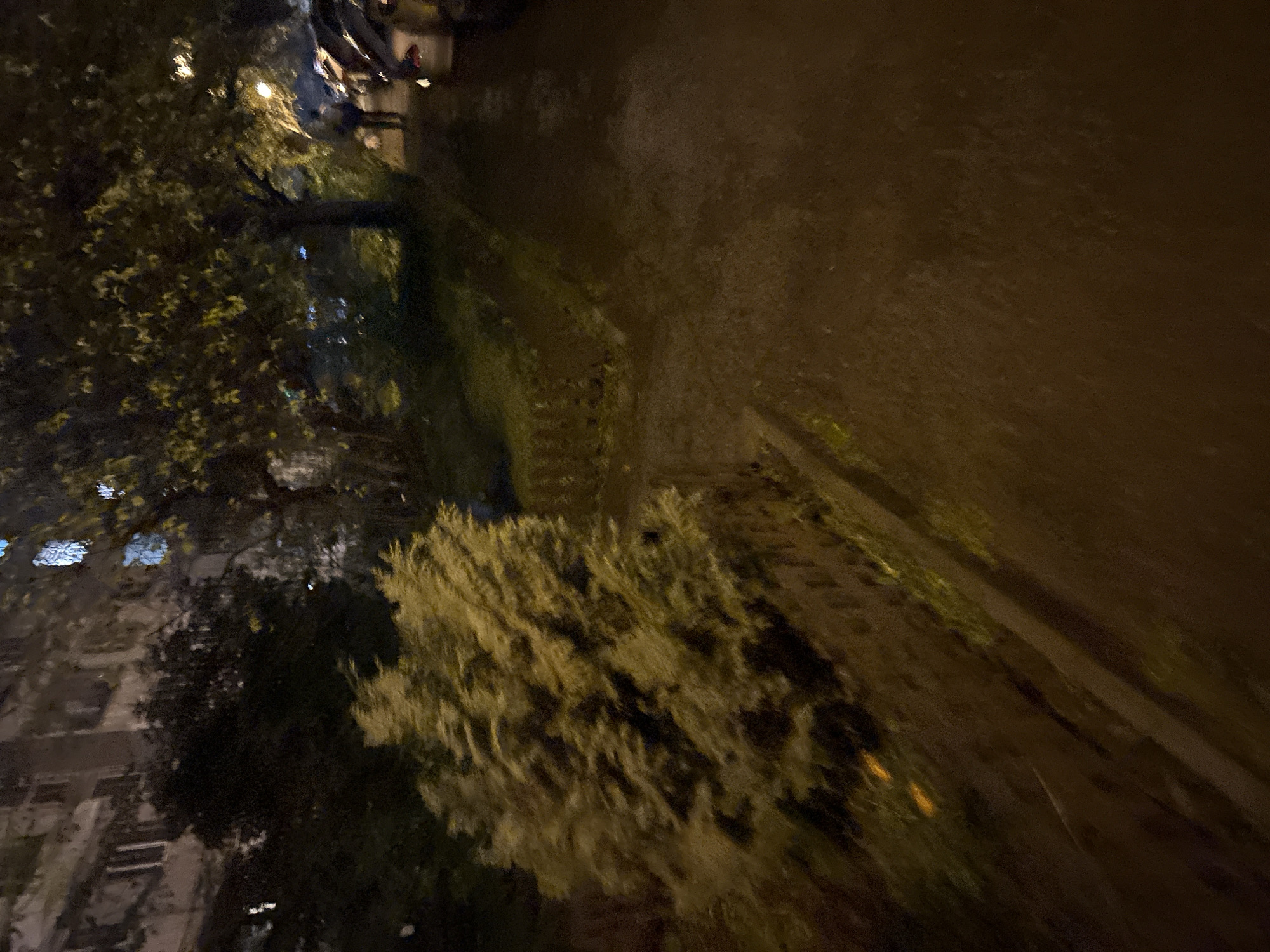 The image, captured at night, presents an outdoor scene in what appears to be an urban or suburban environment in Sofia, Bulgaria. The perspective is angled, looking down a sloping path or ground area.
In the foreground and midground, a dark, earthy surface occupies the right side of the frame. This ground appears damp or muddy, with subtle indentations that could be tire tracks or footpaths. To the left, a significant portion of the image is filled with dense vegetation, including trees and bushes. The leaves of some plants are brightly illuminated with a yellowish-green hue, indicating the presence of artificial light sources nearby. Several bright, blurred spots in the distance are consistent with streetlights or building lights.
On the far left, indistinct outlines of buildings, possibly residential structures, are visible through the darkness and foliage. Some illuminated windows create small, rectangular reflections. In the upper right corner, highly blurred shapes might suggest parked vehicles or distant figures, but they are too indistinct for positive identification.
The scene conveys a quiet, still atmosphere with no specific activity taking place. The time of day is clearly night, and the ground condition suggests recent moisture, possibly from rain. No discernible text is visible anywhere in the image.