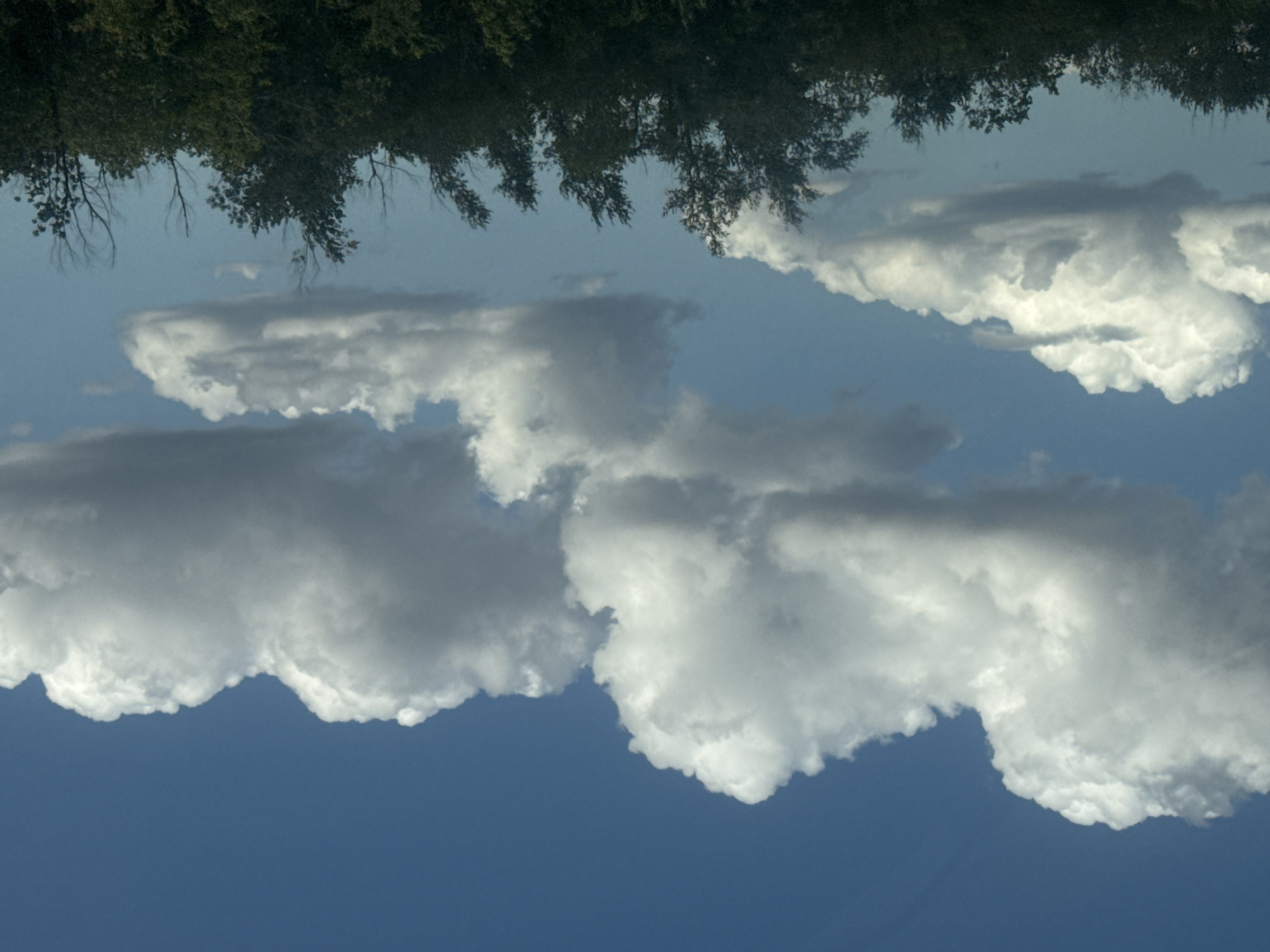 The image captures a scene of a bright blue sky filled with large, fluffy white cumulus clouds. Below the clouds, a dark green line of trees stretches across the lower portion of the frame, suggesting a landscape or park area. The lighting indicates it is daytime, with the sun illuminating the clouds from above. The specific location of Perevolotsky, Russia, is mentioned in the prompt but cannot be visually confirmed from the image content alone.