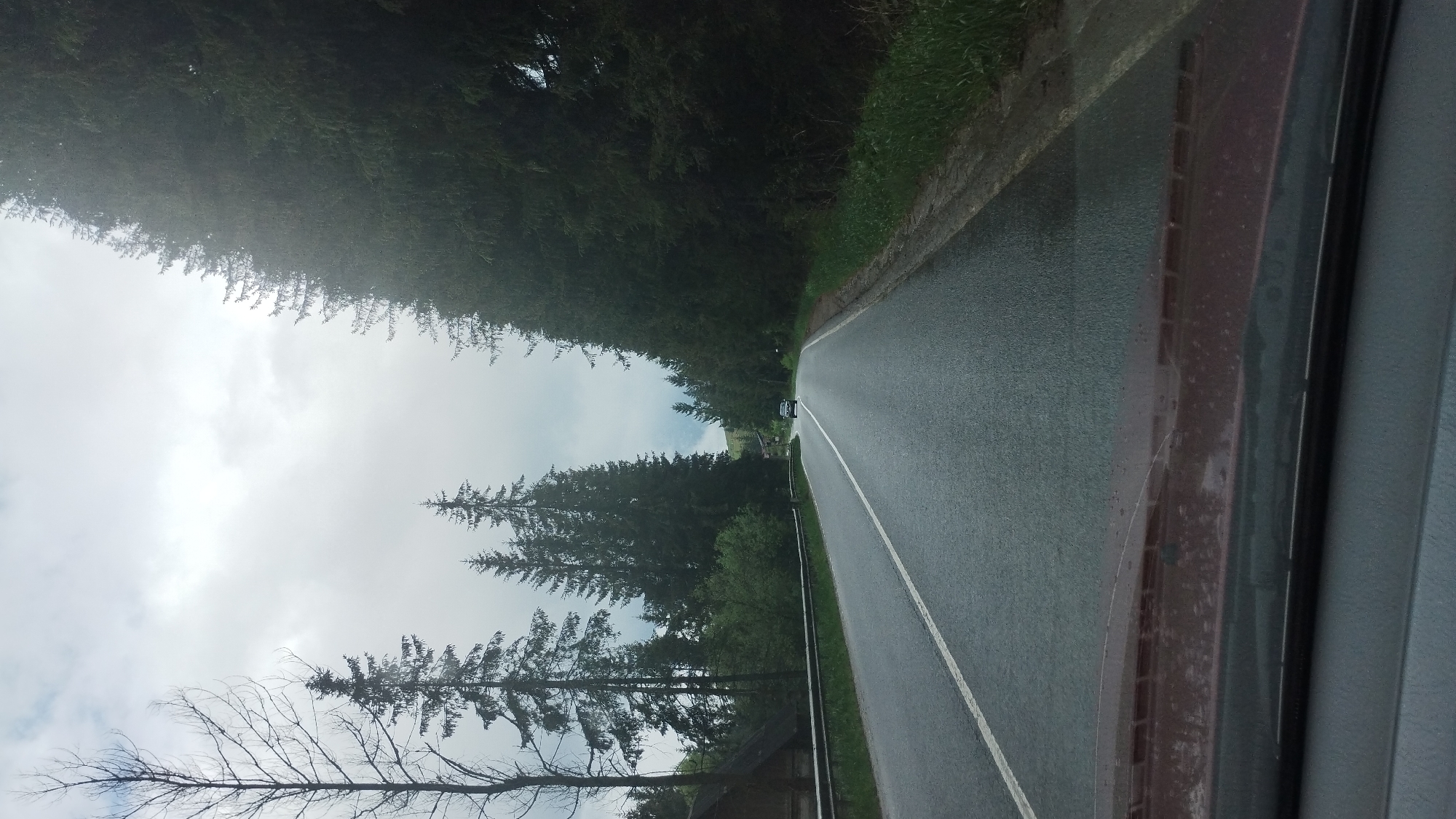 The image captures a view from inside a vehicle traveling along a paved road. The road is lined with dense evergreen trees on the left and a grassy verge on the right. The sky is overcast with a diffused light, suggesting it is daytime. The road surface appears wet, indicating recent rain or damp conditions. The perspective is from the passenger side, showing a portion of the car's interior, including the window and part of the dashboard or interior trim.
In the distance, a dark-colored car is visible on the road, traveling in the same direction. Further down the road, there are hints of buildings nestled amongst the trees. The trees are tall and dark green, creating a natural tunnel effect over the road. The overall scene evokes a sense of travel through a forested area, possibly a rural or mountainous region. The muted light and wet road contribute to a somewhat somber or tranquil atmosphere. No people are clearly visible, and no text is discernible. The location context provided is Yablunytsia, Ukraine.