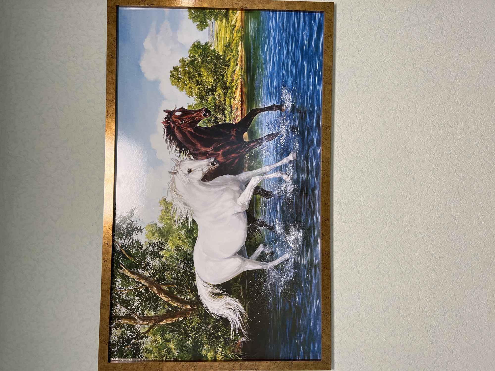 The media file displays a framed painting of two horses in a natural setting, hanging on a light-colored, textured wall.
**Subjects:** The central subjects of the painting are two horses. One is a striking white horse, positioned prominently in the foreground, and the other is a dark brown or black horse, seen behind and to the right of the white one.
**Scene/Setting:** The painting depicts a vibrant outdoor landscape. The horses are in a body of blue water, likely a river or lake, surrounded by lush green foliage and trees along the banks. The sky above is bright blue with white clouds. The water is rendered with ripples and splashes, indicating movement.
**Activity or event taking place:** Both horses appear to be in dynamic motion, running or frolicking through the water. The white horse is rearing up slightly, and the dark horse is also shown with lifted legs, creating visible splashes around them. This suggests a moment of spirited play or an energetic run.
**Notable details:** The time of day appears to be daytime, under a clear or partly cloudy sky, with bright light illuminating the scene. The trees and grass are vividly green, indicating a healthy, natural environment. The painting itself is presented within a golden or bronze-colored frame with a textured finish. The wall on which it hangs has a light, possibly cream or pale green, color with a subtle textured pattern, resembling wallpaper.
**Visible text:** There is no visible text in the painting, on the frame, or on the surrounding wall.