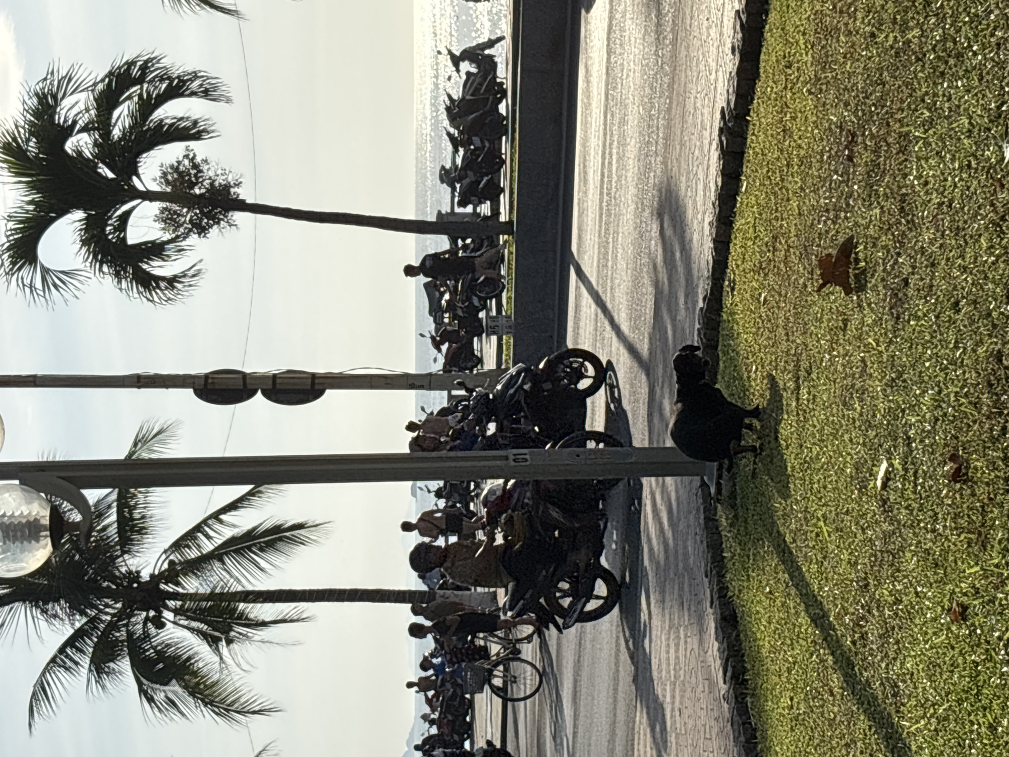 The image depicts a sunny day in Nha Trang, Vietnam, likely along its popular beachfront promenade. In the foreground, a black dog is walking on a patch of green grass, casting a long shadow. Behind the grass, a paved walkway with intricate patterns is visible, bordering a street. Several people are seen riding motorcycles and bicycles on this street, with some parked motorcycles lined up along the promenade. Palm trees are scattered throughout the scene, with the ocean visible in the background. The overall atmosphere suggests a typical day of activity in this coastal city.