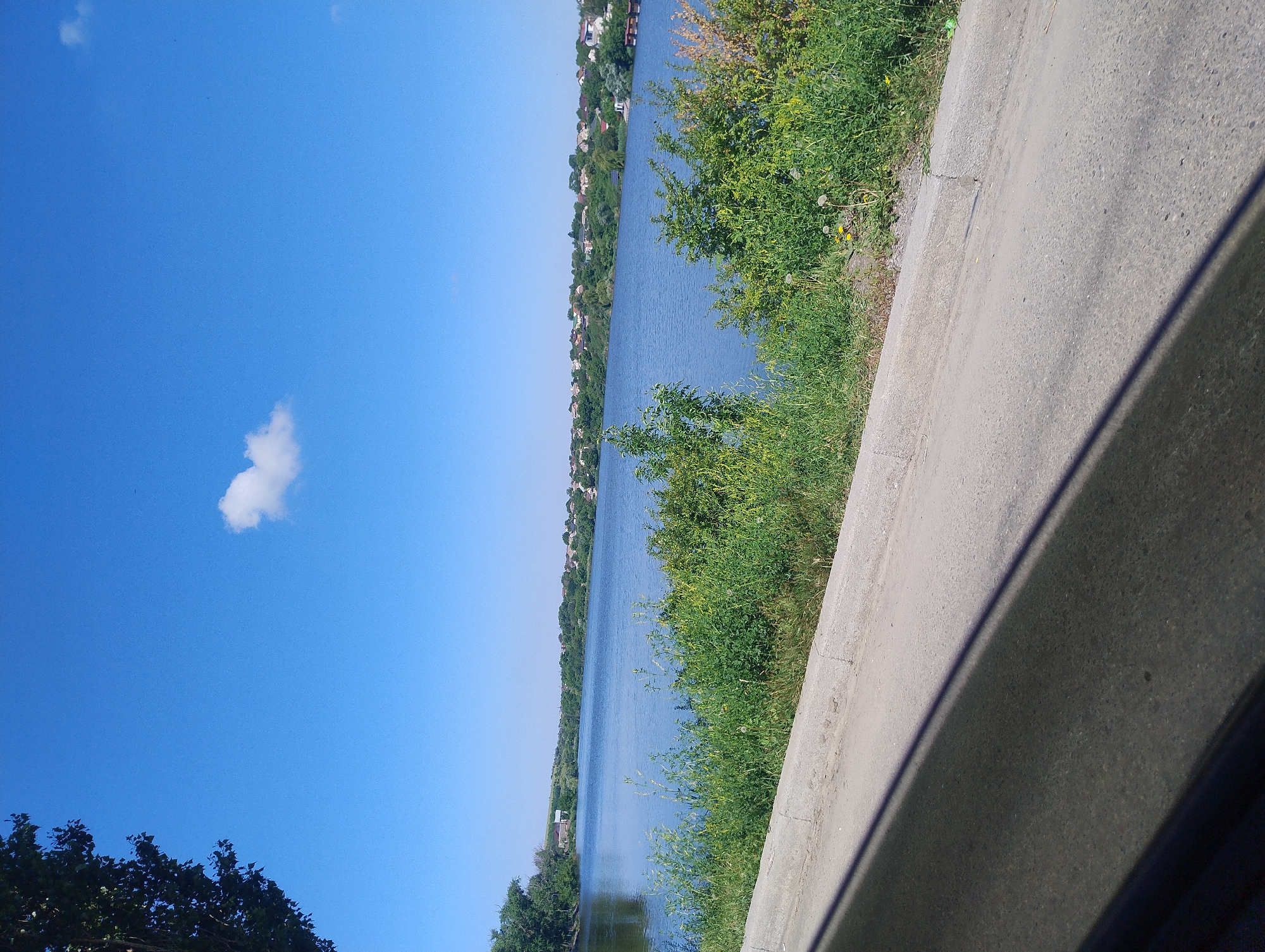 The image depicts a scenic view of a wide, tranquil body of water, likely a river or lake, under a clear blue sky. A thin, elongated white cloud drifts lazily in the upper portion of the sky. The shoreline is densely populated with lush green vegetation, including trees and bushes, with a hint of yellow wildflowers interspersed. Across the water, a distant line of houses and trees marks the opposite bank, suggesting a settled area. In the foreground, a paved road runs parallel to the water's edge, separated by a concrete curb and the overgrown greenery. A long, dark shadow from an unseen object, possibly a tree or structure, stretches across the road, indicating the presence of sunlight and a specific time of day. The overall impression is one of a peaceful, natural landscape adjacent to a residential area.