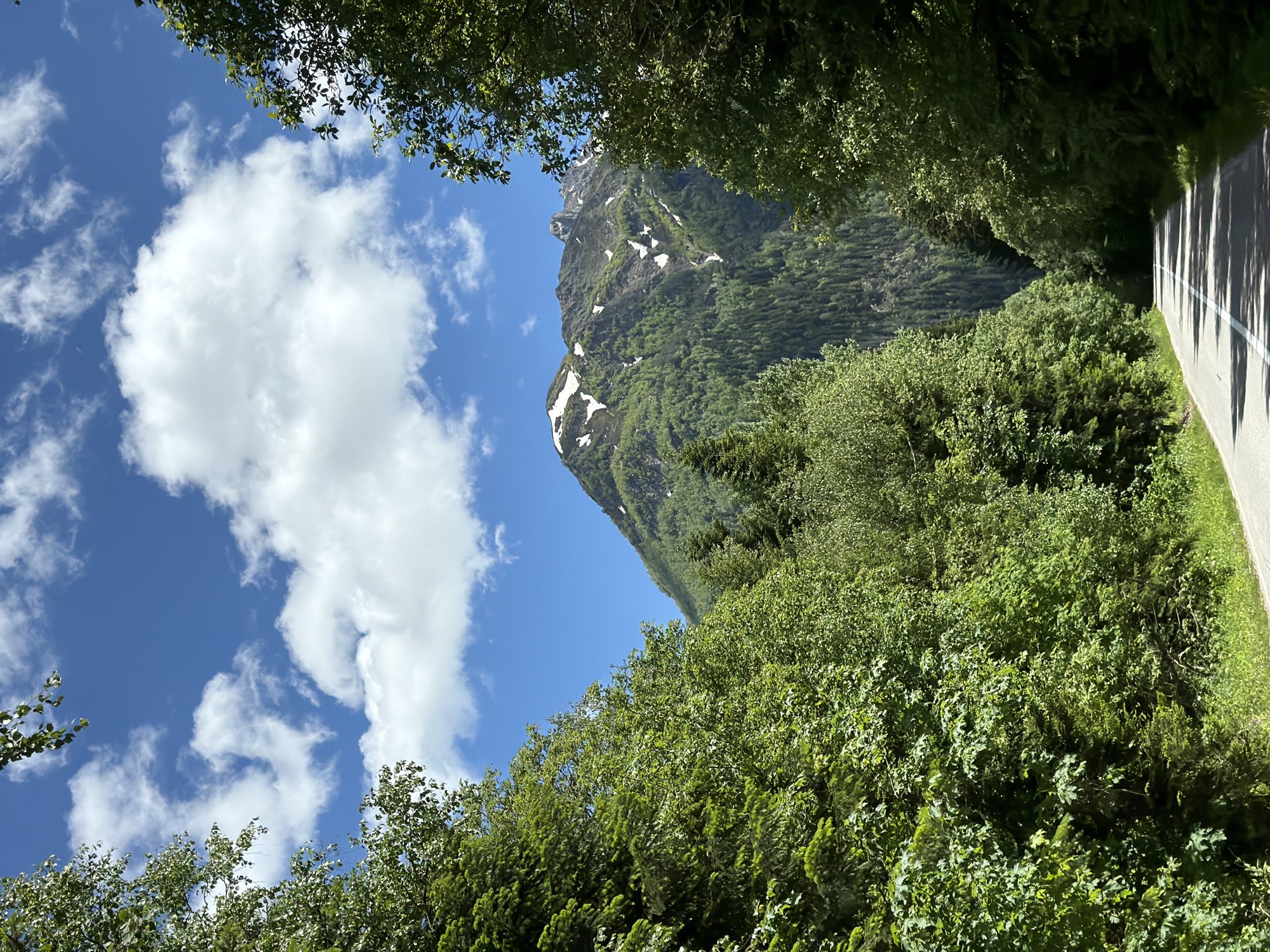 A paved road with a white stripe runs through a dense forest of green trees, flanked by lush vegetation. In the distance, a large mountain rises, its peak partially covered in snow and its slopes dotted with more trees. The sky above is a vibrant blue with scattered white clouds. The scene appears to be a scenic mountain road in a natural environment.