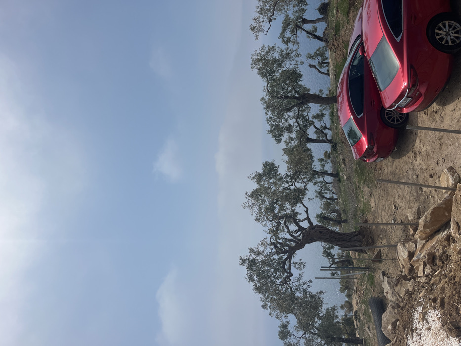 The scene shows a dirt road leading up to a small clearing on a hillside in Limenaria, Greece (latitude: 40.588, longitude: 24.676). Two red Mazda sedans are parked facing each other at a slight angle. The ground is dusty and there are several olive trees growing on the hillside, with the sea visible beyond. The sky is clear blue with white clouds. The hillside is bare and rocky, with small shrubs and trees growing sparsely. The road is dusty and uneven, with a few small rocks and stones visible. There is a fence made of small wooden posts and wire running along the hillside. The top of the fence is visible in the image.