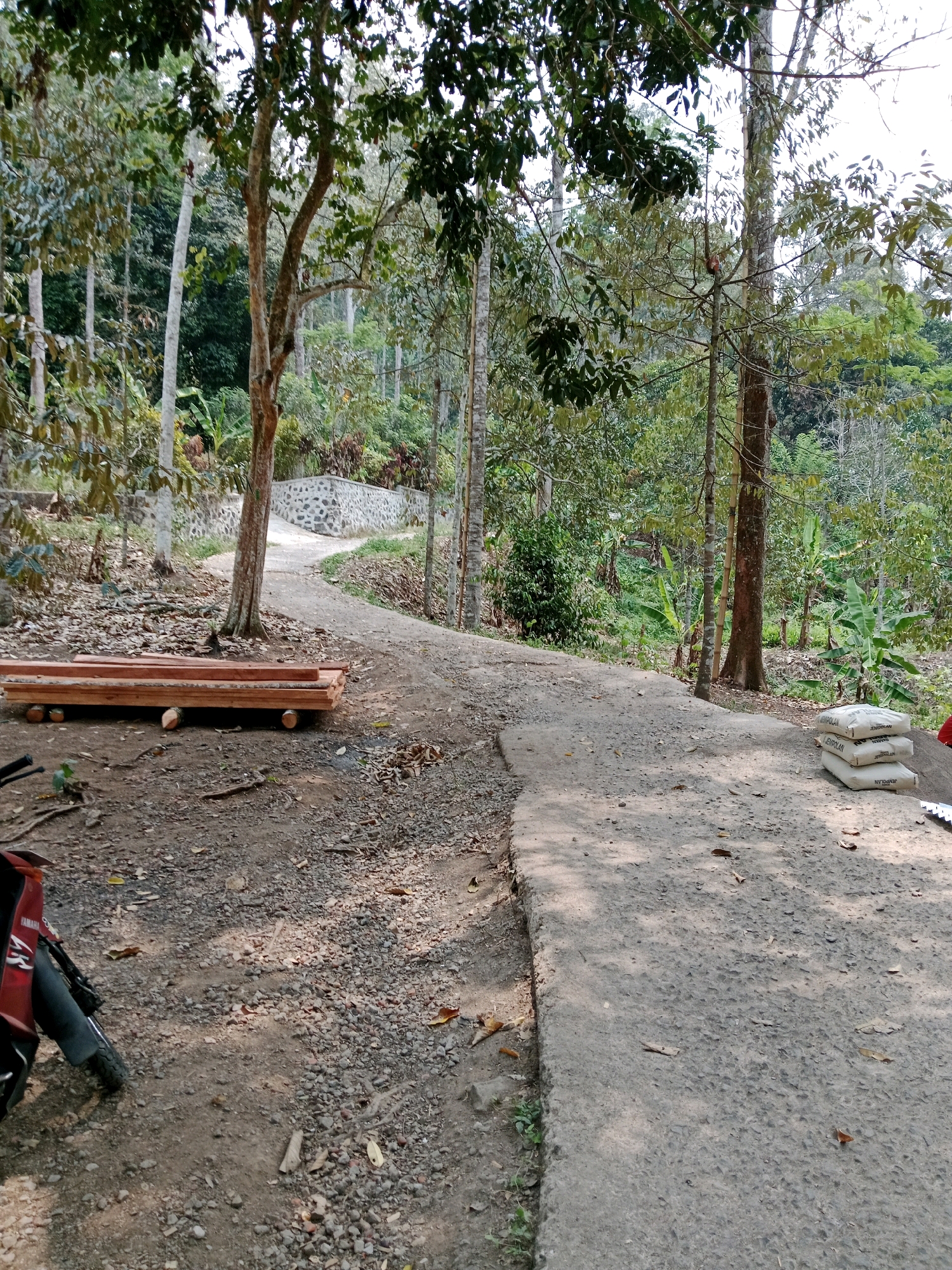 In the city of Leuwikoja, Indonesia, this image captures a scene in a natural, wooded environment. A dirt path, partially paved with concrete, winds through the trees. To the left of the path, a stack of raw lumber rests on wooden supports. Further down the path, on the right side, a small stack of white sacks, possibly cement, is visible. A portion of a red motorcycle is present in the lower left corner. The surrounding area is dense with trees and foliage, suggesting a rural or undeveloped setting. The lighting indicates it is daytime, with sunlight dappling through the leaves.