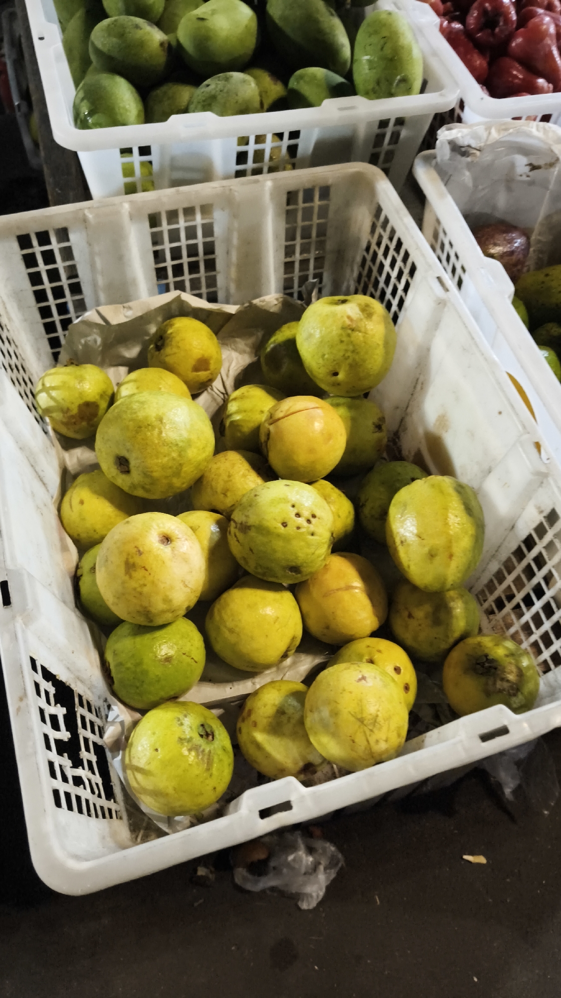 This image shows a close-up view of a white plastic crate filled with ripe guavas. The guavas are round to oval in shape and vary in color from pale yellow to light green, with some exhibiting brown blemishes or spots. The crate is situated on a dark, textured surface, possibly a market stall or pavement, in an outdoor setting. In the background, other crates of fruit are partially visible, including what appear to be green mangoes in a white crate and red rose apples in another. The lighting suggests it might be evening or under artificial light. The context indicates this scene is likely from a fruit market in South Jakarta, Indonesia, where fresh produce is commonly sold in such crates.