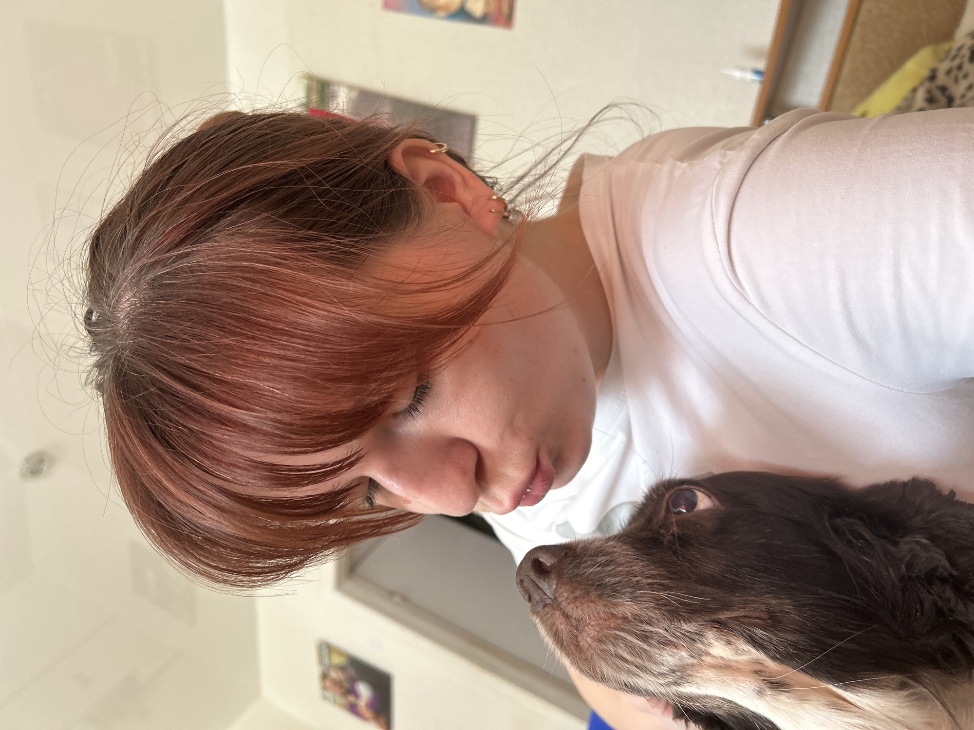 A close-up, intimately framed shot captures a tender moment between a person and a dog, set indoors in Фоки, Russia. The image is oriented with the person's head on the left and the dog's head on the right, facing each other.
The person, a young adult with reddish-brown hair, is seen in profile. Their hair has noticeable grey roots, suggesting either natural aging or a specific hair coloring style. Several small gold hoop earrings adorn their visible ear. They are wearing a simple white t-shirt. Their eyes are closed or cast downwards, and their lips are slightly parted, almost in a puckered expression, as they lean in very close to the dog. The person's facial features show a scattering of freckles on the nose.
Facing the person is a dog, which appears to be a medium-sized breed, possibly a spaniel, with soft, dark brown fur and patches of white or tan, particularly around its muzzle and under its chin. Its dark eye is visible, looking up towards the person, conveying a sense of connection. The dog's nose is dark and appears slightly wet.
The two subjects are positioned nose-to-nose, creating a heartwarming scene of affection and close bonding. The background is simple and domestic, consisting primarily of a light-colored wall. A framed picture or poster is faintly visible on the wall in the distance, alongside other indistinct household items, suggesting a relaxed home environment. The lighting appears soft and natural, indicative of daytime. No text is visible in the image.