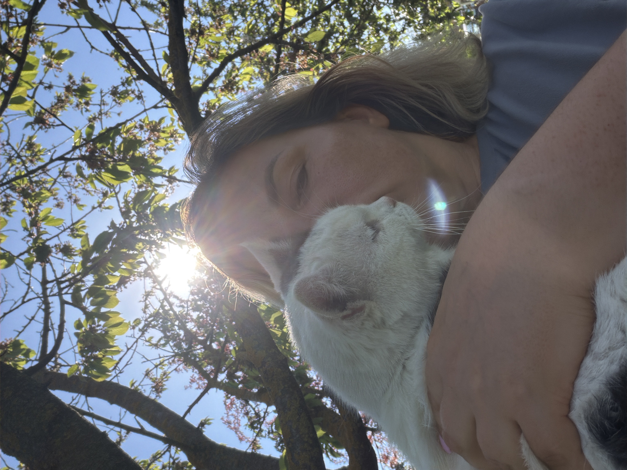 A woman with blonde hair and closed eyes is embracing a white cat. The woman is wearing a light blue shirt. The scene is outdoors, under a tree with green leaves and branches against a blue sky with sunlight. The location is Leningradskaya, Russia.