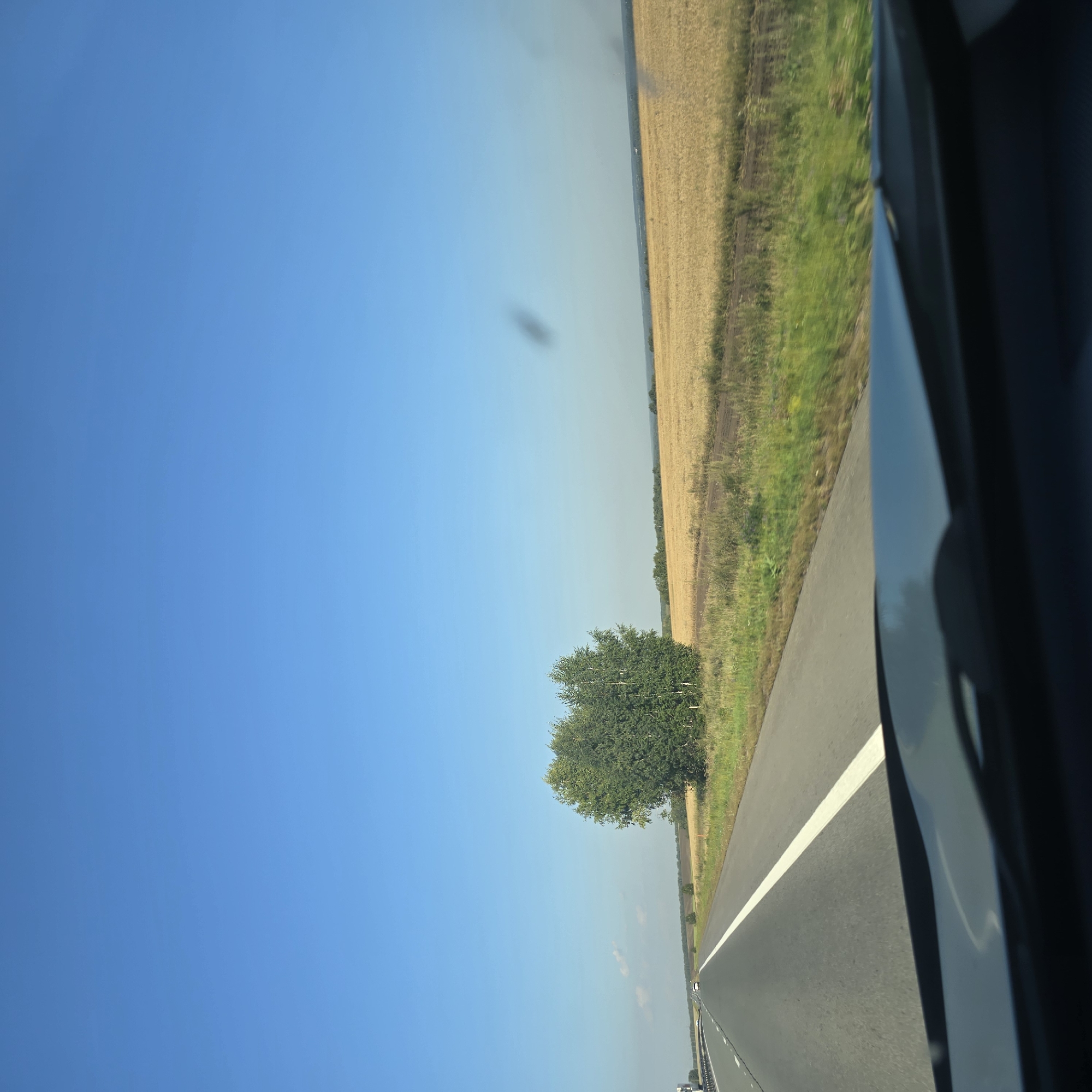 A clear blue sky is visible above a paved highway. The highway has a white line down the center and on the right side. To the right of the highway, there is a field of dry grass or crops, with a cluster of green trees further in the distance. The foreground shows the top of a car's dashboard. The scene appears to be in a rural area of Russia, possibly near the city of 44, given the highway and agricultural landscape. There are no people visible in the image.