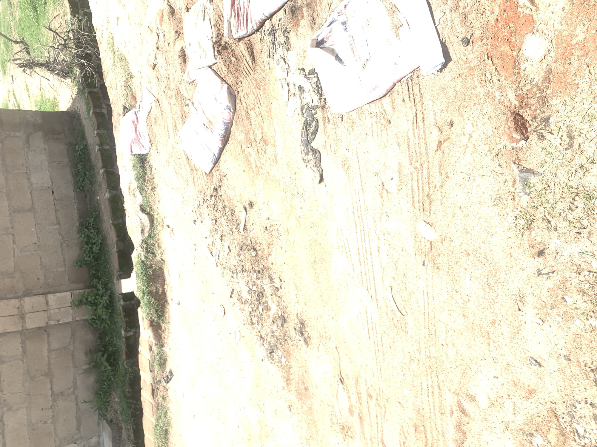 The image depicts an outdoor scene, likely a construction or undeveloped area, in Jauro Yinu, Nigeria. The ground is predominantly sandy and appears to be a dirt road or pathway, with tire tracks visible in some areas. A low brick wall, constructed from light-colored concrete blocks, forms a boundary on the left side of the image. Greenery, including grass and small plants, grows along the base of the wall and in patches across the ground.
Several white sacks, some with red and blue markings that suggest they contain cement, are scattered on the ground. One sack, in the lower right quadrant, appears to be partially open and spilling its contents. In the middle of the frame, a dark, crumpled object, possibly a piece of fabric or plastic sheeting, lies on the sand. The overall impression is of a work in progress or an area where materials have been delivered and are awaiting use or have been discarded. The lighting suggests it is daytime with strong sunlight, casting shadows and contributing to the bright appearance of the sand.