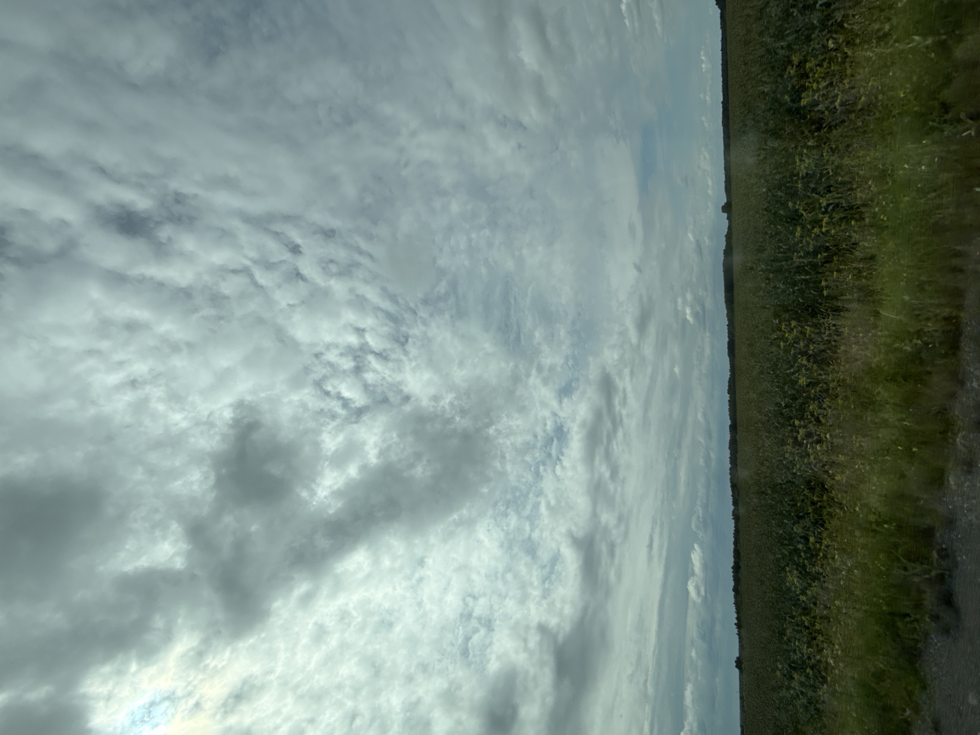 The image shows a wide, flat expanse of farmland under a cloudy sky. The foreground features a gravelly dirt road with a strip of tall green and yellow grass. Beyond the grass, a dense field of dark green crops, possibly sunflowers or corn, stretches to the horizon. A line of dark green trees forms a distant treeline against the horizon. The sky is filled with a dramatic display of grey and white clouds, with patches of brighter sky peeking through in the upper left quadrant. The overall impression is of a rural landscape on a slightly overcast day. No people, specific structures, or identifying landmarks are visible that would indicate a location in Nazarovo, Russia.