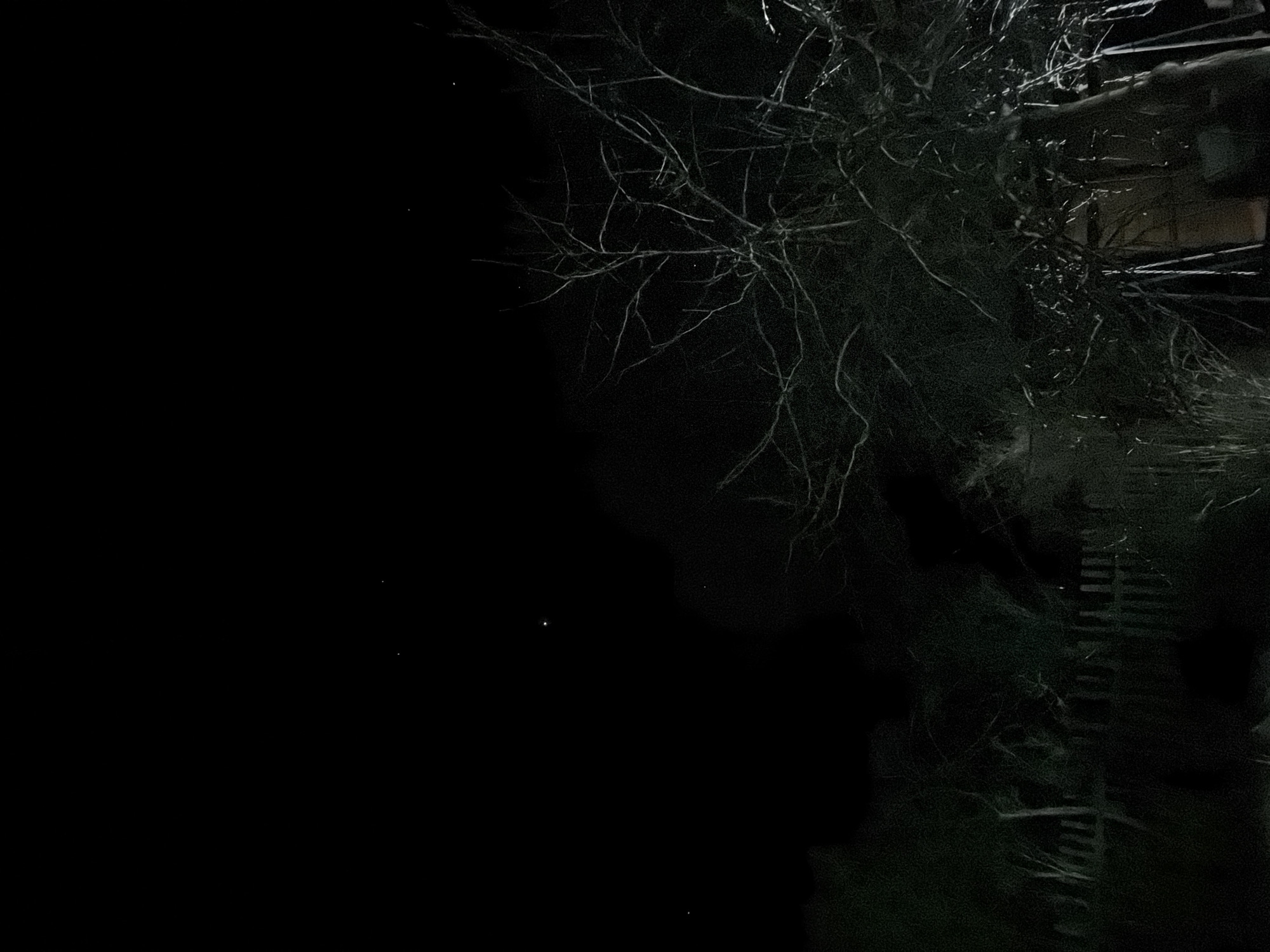 The image captures an extremely dark, low-light scene, likely taken at night in Dubovaya, Russia. The primary subject is a dense network of bare, thin tree or shrub branches, occupying the right side of the frame and extending towards the top and center. These branches form an intricate, gnarled pattern silhouetted against a deep black background.
On the far right and bottom right, very faint, linear structures are discernible, suggesting the presence of a dimly lit, man-made object such as a building, fence, or other construction, partially visible through or behind the foliage. The left side of the image is dominated by an expanse of absolute darkness, with only a few tiny, faint white specks visible, possibly distant stars or small light sources.
No people or specific activities are taking place; the scene appears static. The bare nature of the branches suggests a colder season, such as late autumn or winter. The time of day is clearly night due to the pervasive darkness and minimal illumination. The overall atmosphere is quiet, stark, and mysterious, with the extreme low light creating a sense of deep shadows and obscurity. There is no visible text within the image.