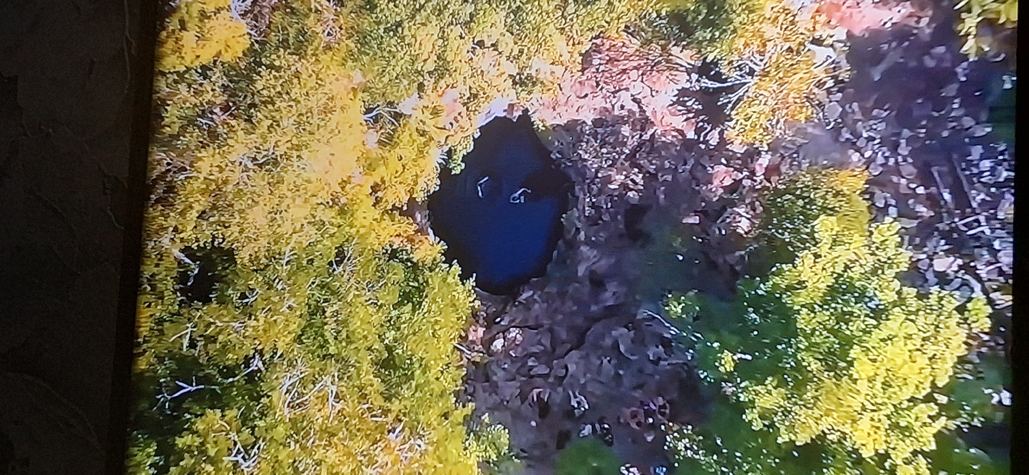 The image is an aerial view of a sinkhole in a wooded area. The sinkhole is circular with dark, steep sides, and appears to be filled with water. Surrounding the sinkhole is dense vegetation, with trees displaying autumn foliage in shades of yellow and green. There are visible rocks and soil around the edge of the sinkhole. The image quality is poor, suggesting it may be a photograph of a screen. No specific location in Bila Tserkva, Ukraine can be identified from this image.