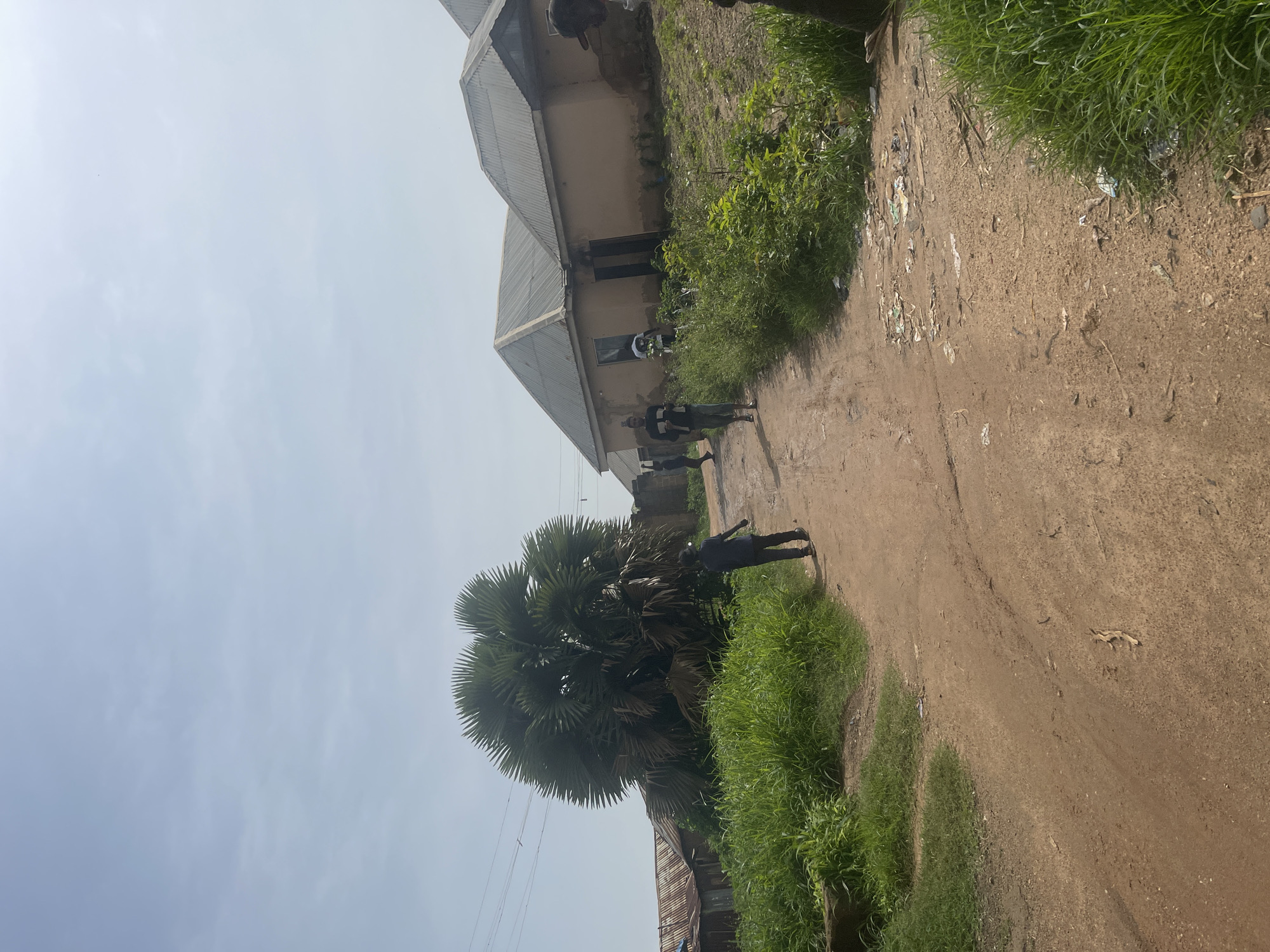 A dirt road meanders through a semi-rural area, lined with lush green grass and scattered debris. Several buildings with corrugated metal roofs are visible, suggesting a residential or mixed-use area. A large, fan-shaped palm tree stands prominently on the left, adding to the tropical feel. A few individuals are walking along the road, their presence indicating an active community. The sky is clear and pale blue, suggesting a warm, sunny day. The overall impression is one of a developing community in a warm climate. The presence of power lines indicates some level of infrastructure.