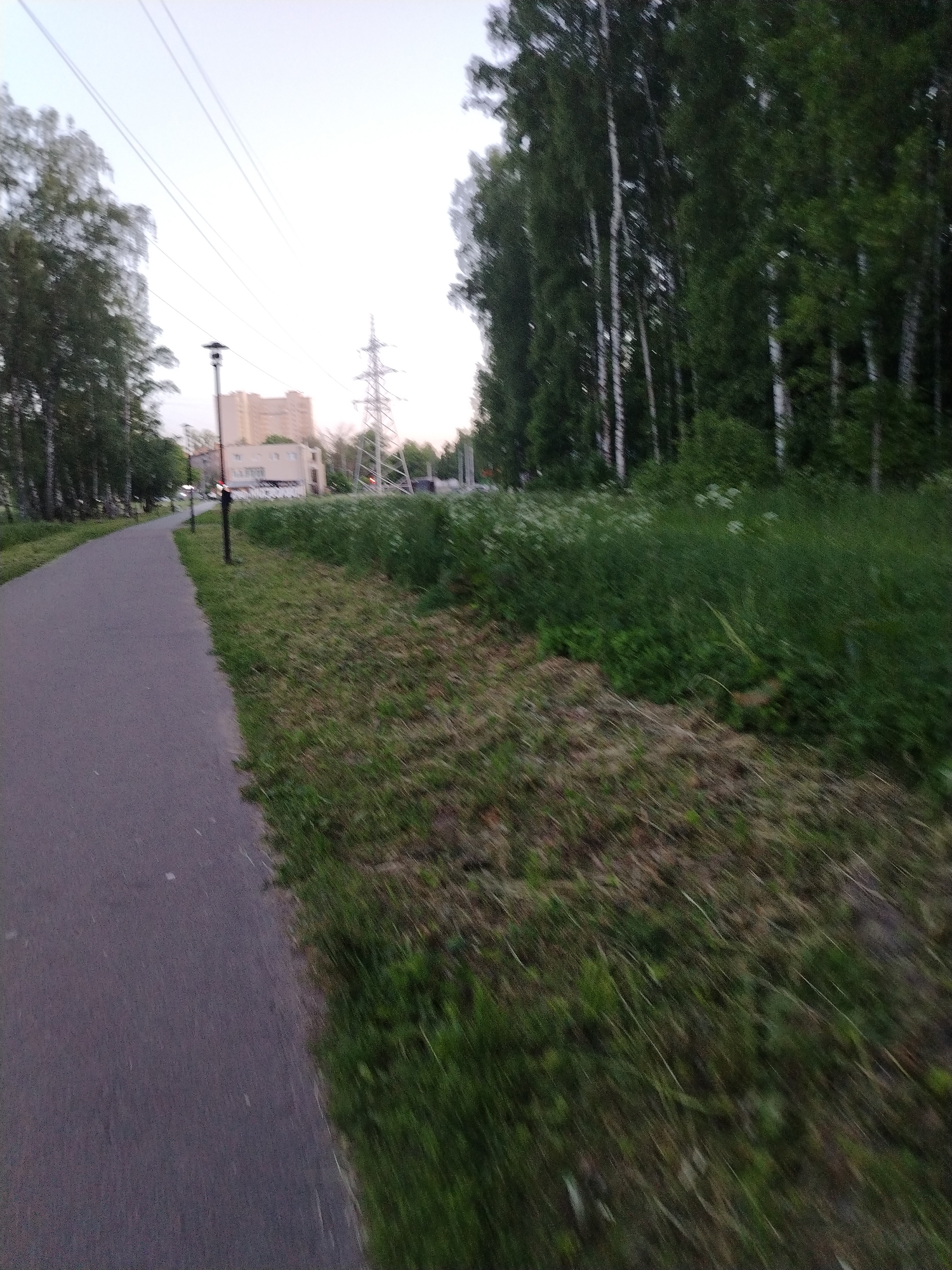 This image captures an outdoor scene featuring a paved pathway, vegetation, and distant urban infrastructure, located in Rusanovo, Russia.
In the foreground, a dark gray asphalt path extends from the lower-left corner, receding into the upper-center distance with a gentle curve to the left. The ground immediately to the right of the path consists of a strip of recently mown grass, which shows significant motion blur, suggesting either camera movement or a fast-moving subject. Further right, the vegetation transitions to taller, wilder green grasses and plants, including clusters of small white flowers.
Along the right side of the path, at least two dark-colored lampposts with distinctive top caps are positioned at intervals. To the left of the path, a dense line of deciduous trees, including several identifiable birch trees with their characteristic white bark, forms a natural barrier.
In the mid-ground and background, more dense greenery is visible. Further in the distance, against a pale, uniform sky, a multi-story, light-colored building with a somewhat industrial or utilitarian appearance stands prominently. To the right of this building, a large metal lattice electricity pylon is clearly visible. Overhead, faint power lines stretch across the upper portion of the frame. The overall lighting suggests daylight, possibly late afternoon or early evening, under an overcast or hazy sky. No people are visible in the scene.